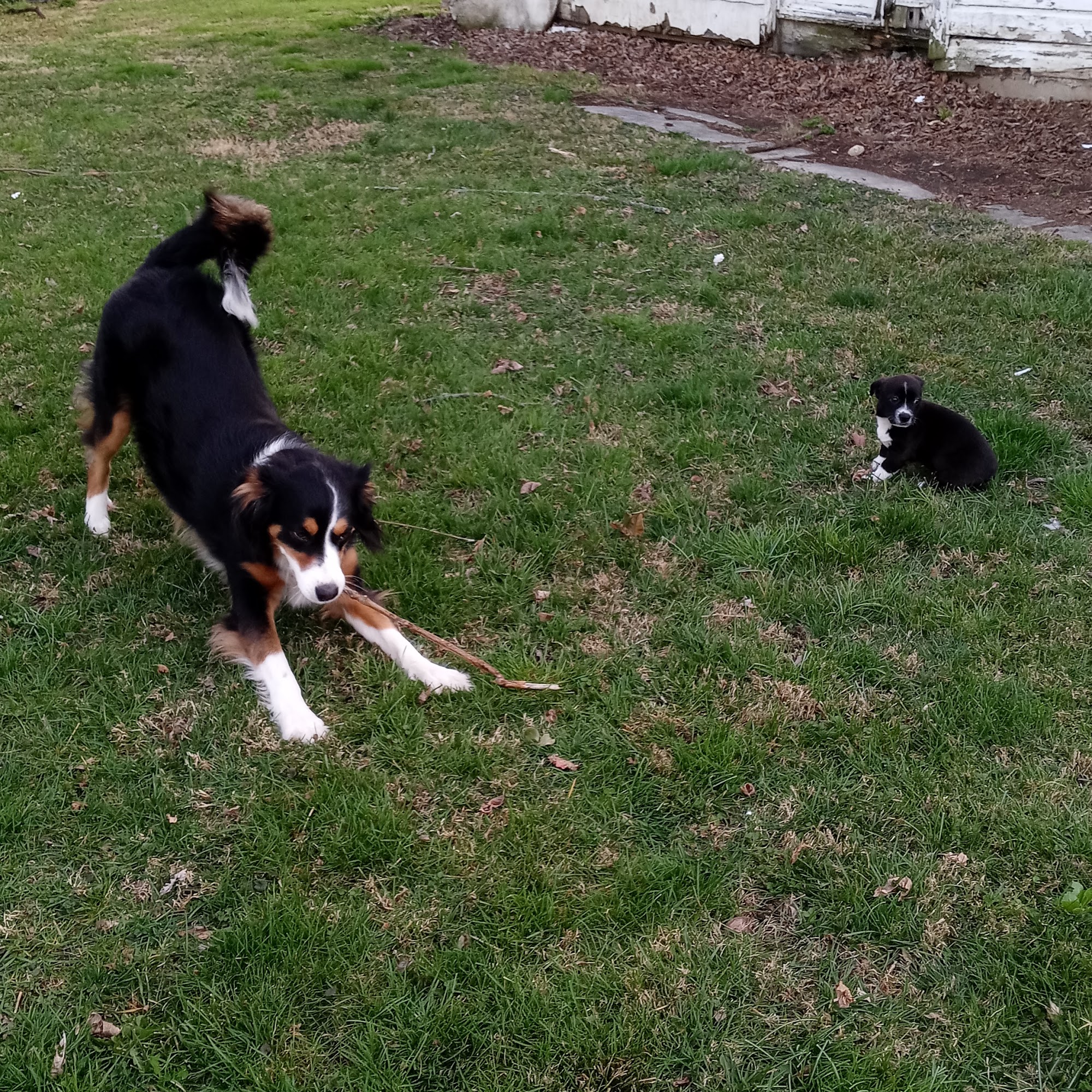 Paint Creek Veterinary Clinic Greenfield