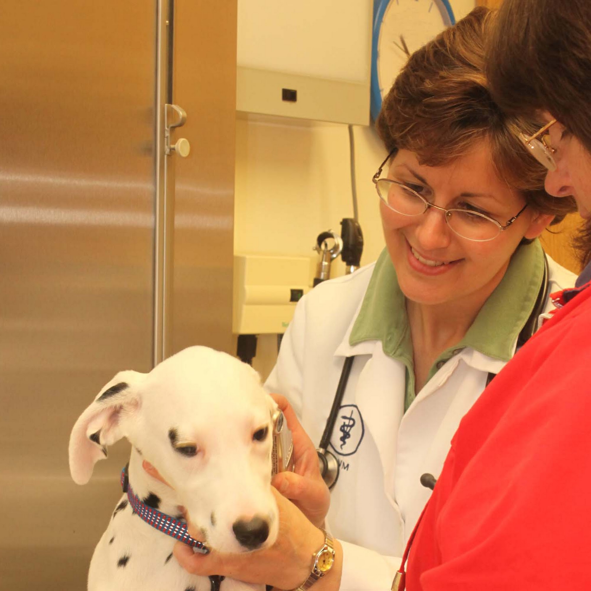 Hartzell Veterinary Services: Hartzell Charles W DVM Greenville