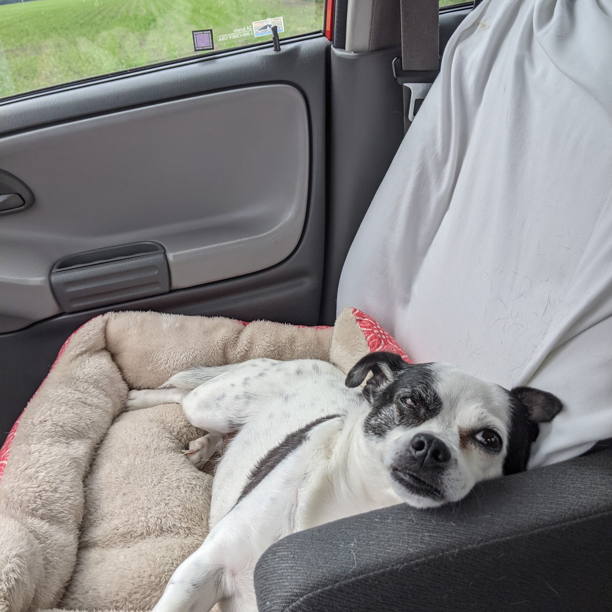 Darke County Veterinary Services Greenville