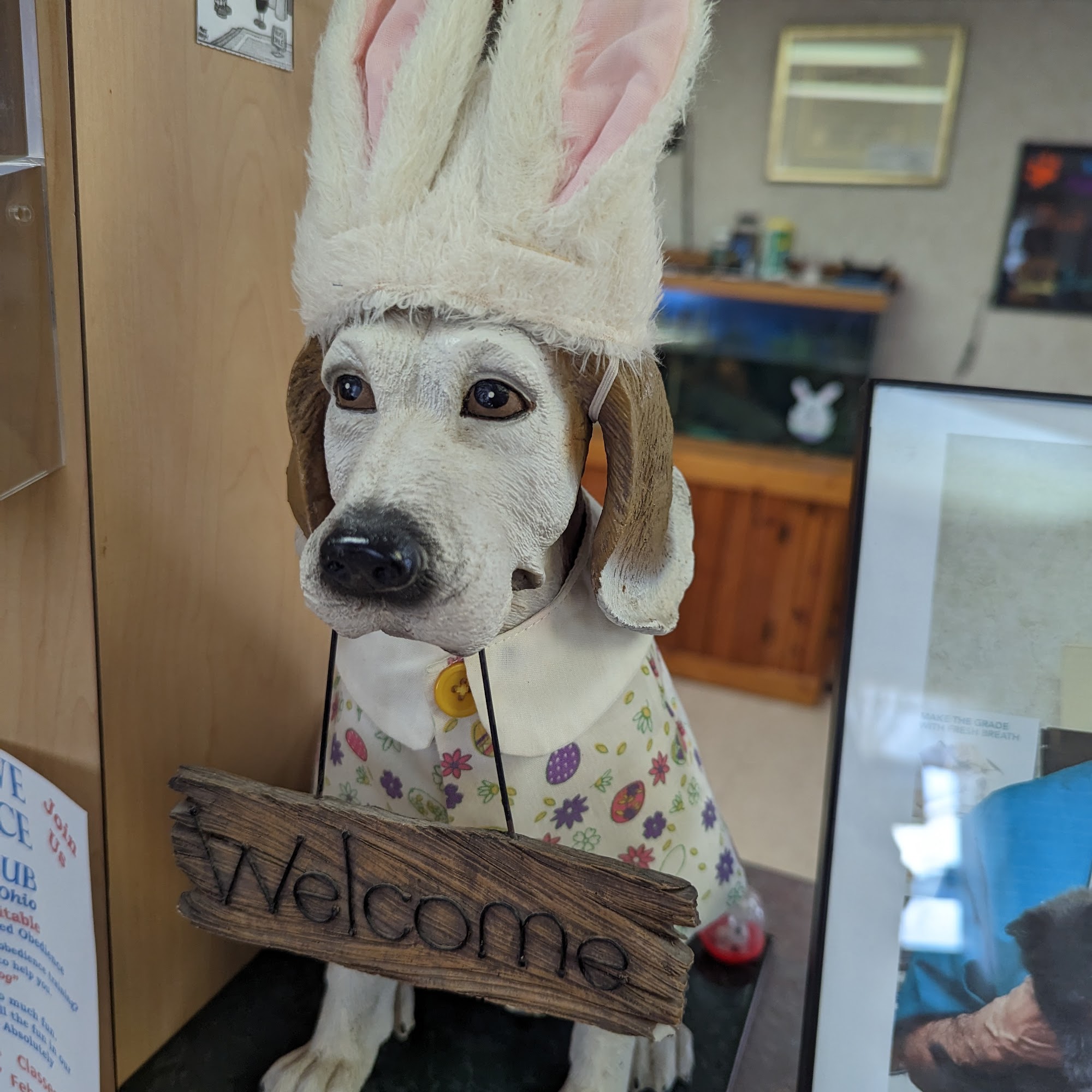 Edgetown Veterinary Clinic And Laser Center Greenville