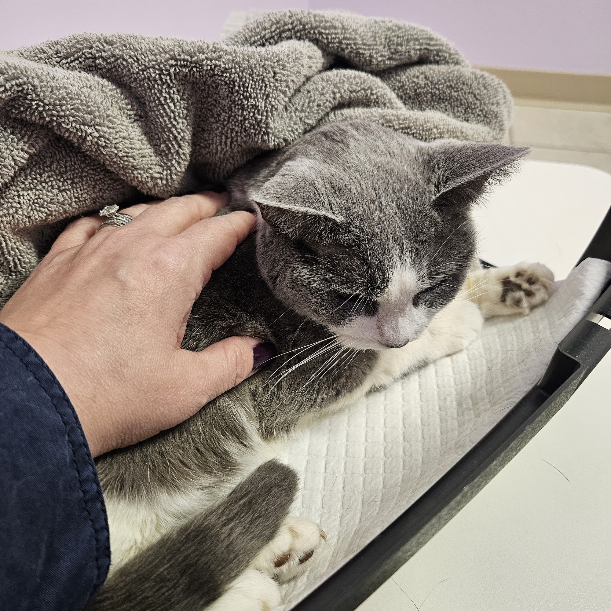 Total Veterinary Care-Grove City Grove City