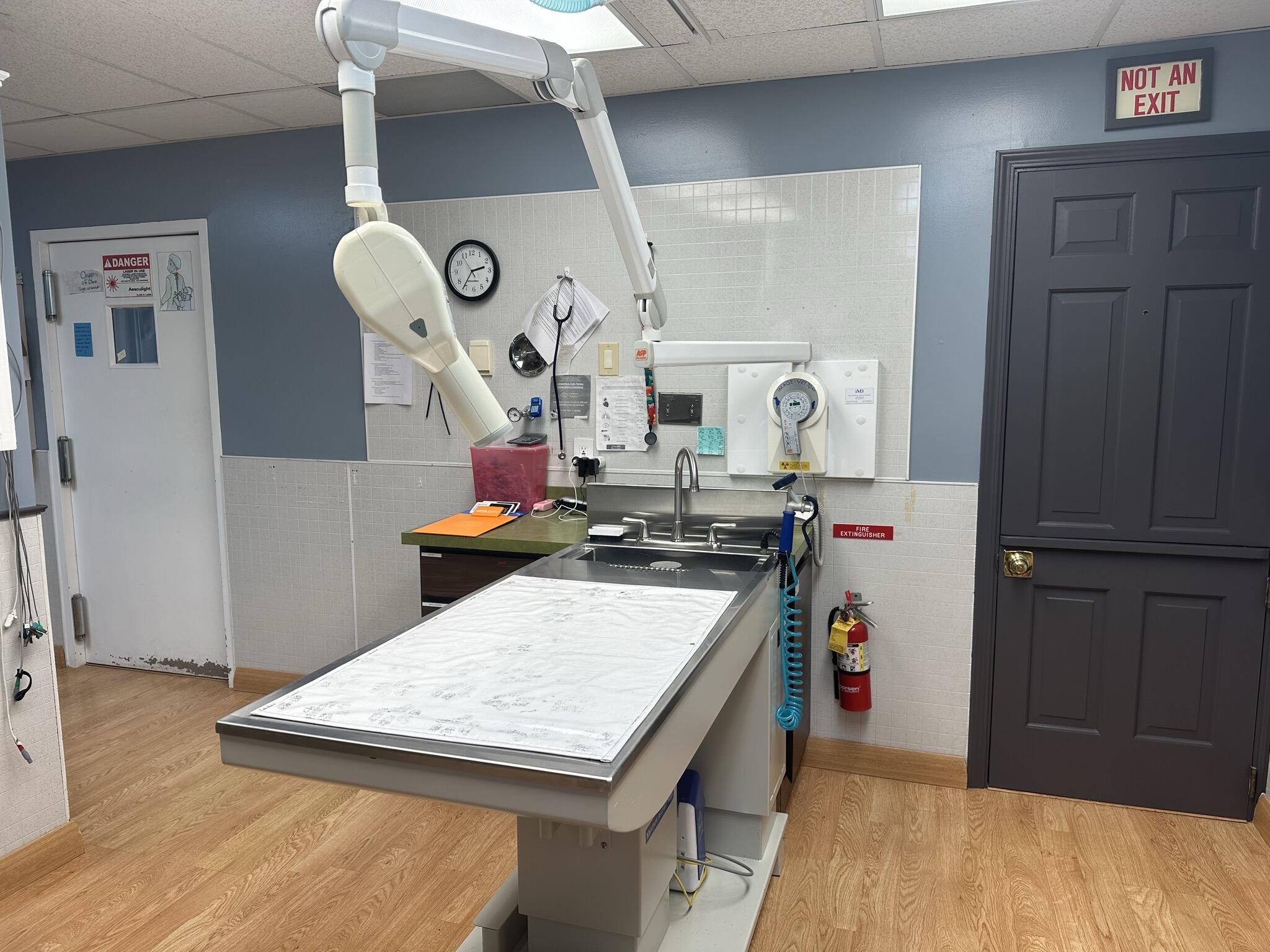 Andrea Mayberry, DVM Grove City