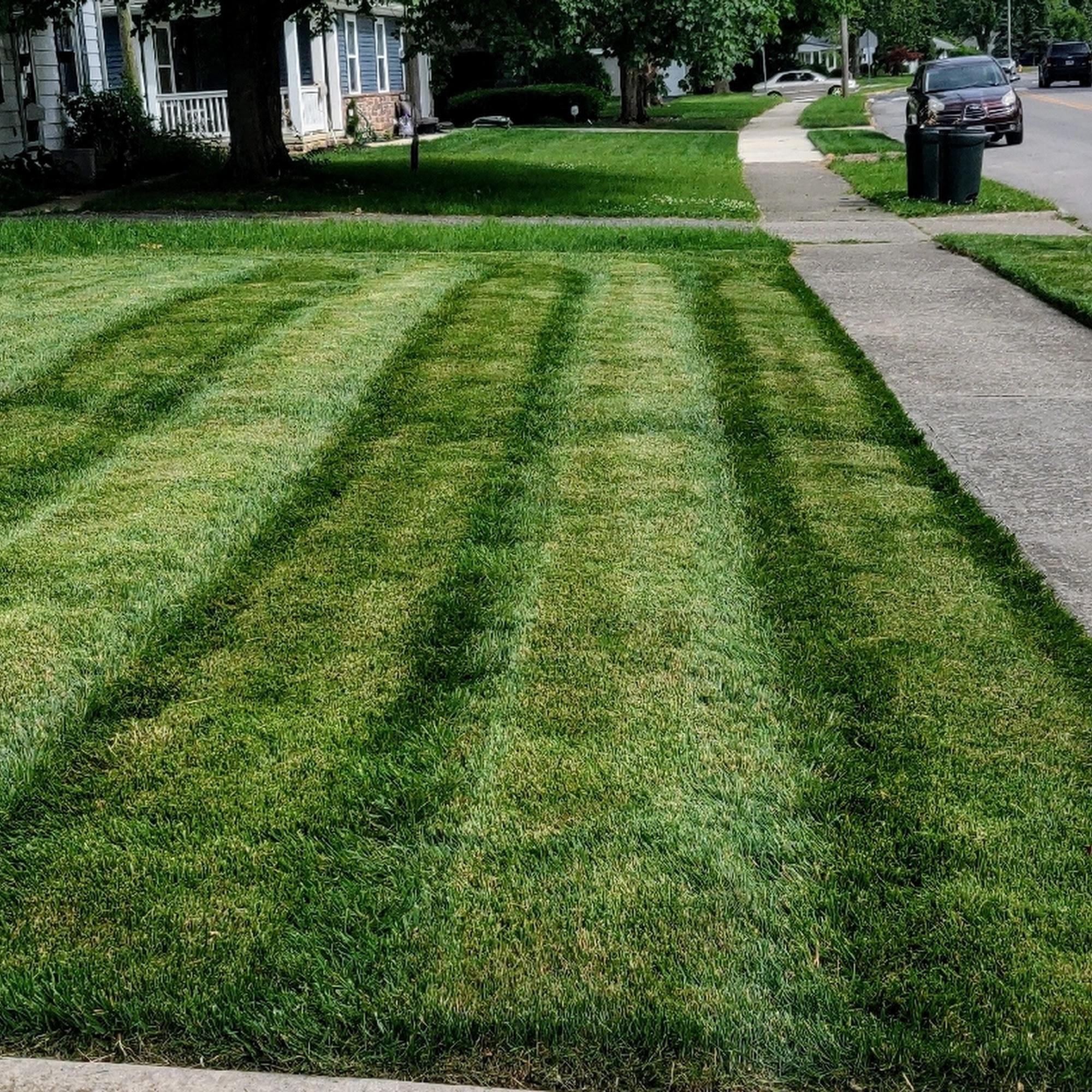 Lawn Pro Grounds Management