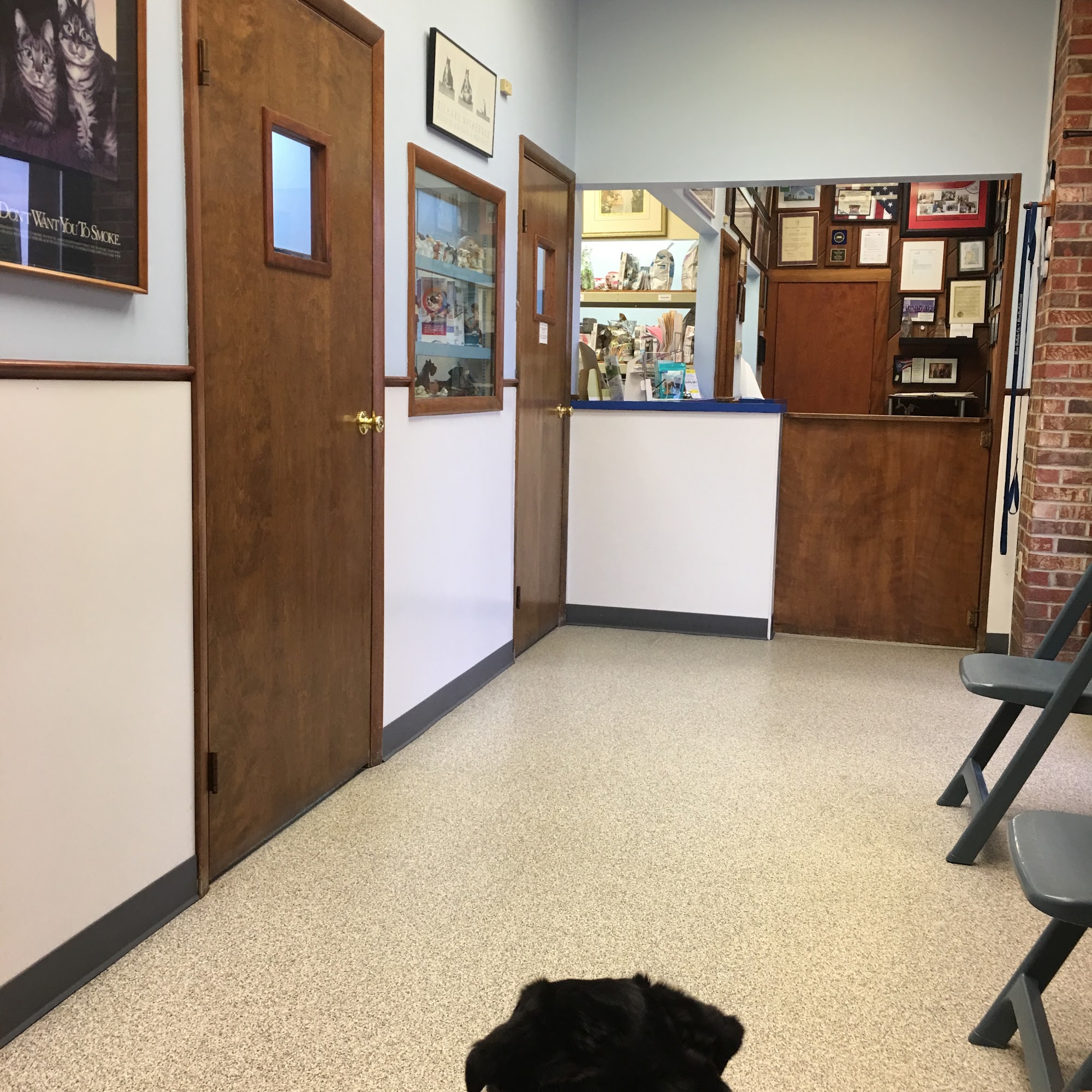 Lodder's Plaza Animal Clinic Hamilton