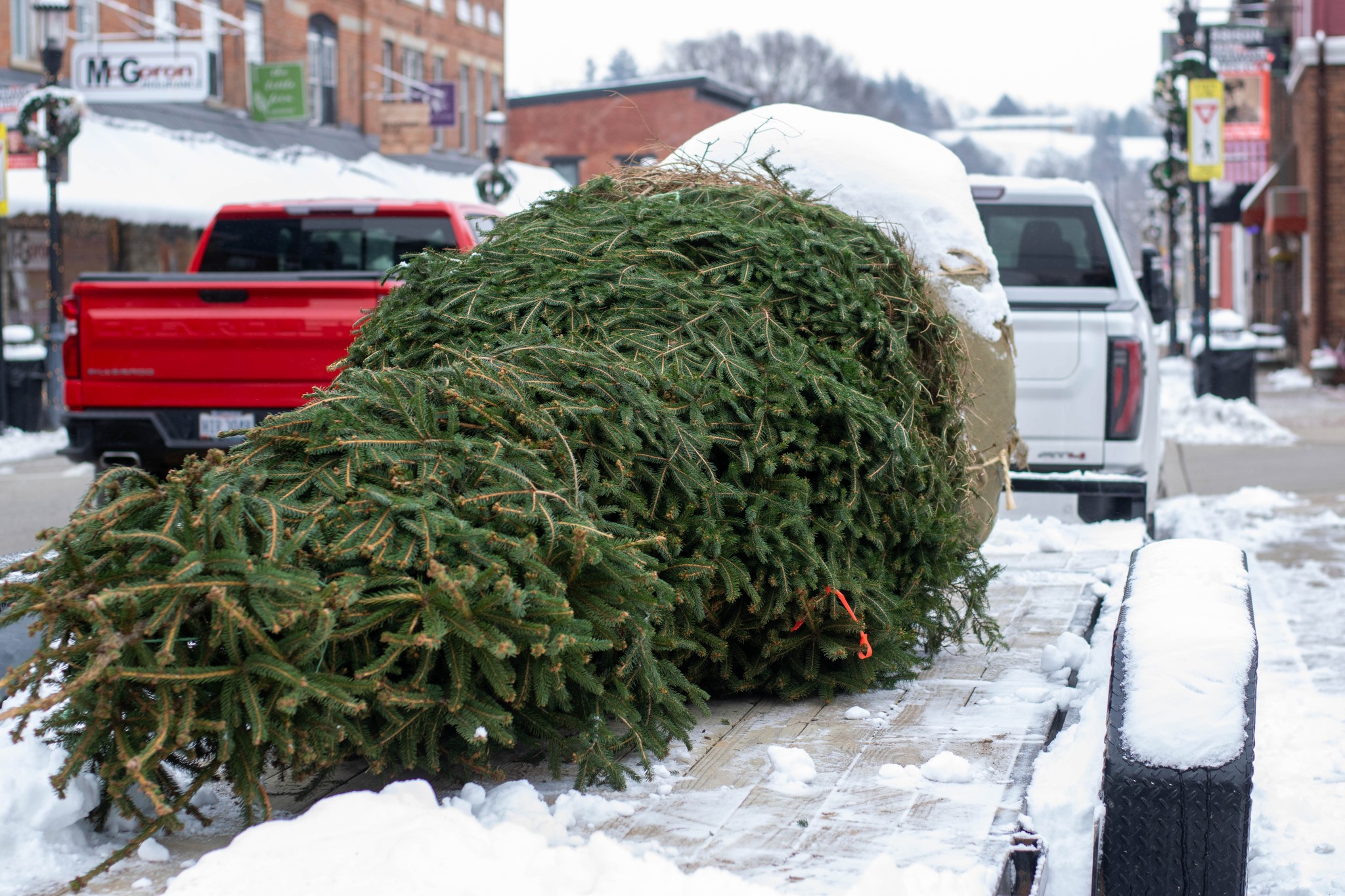 The District Harrison