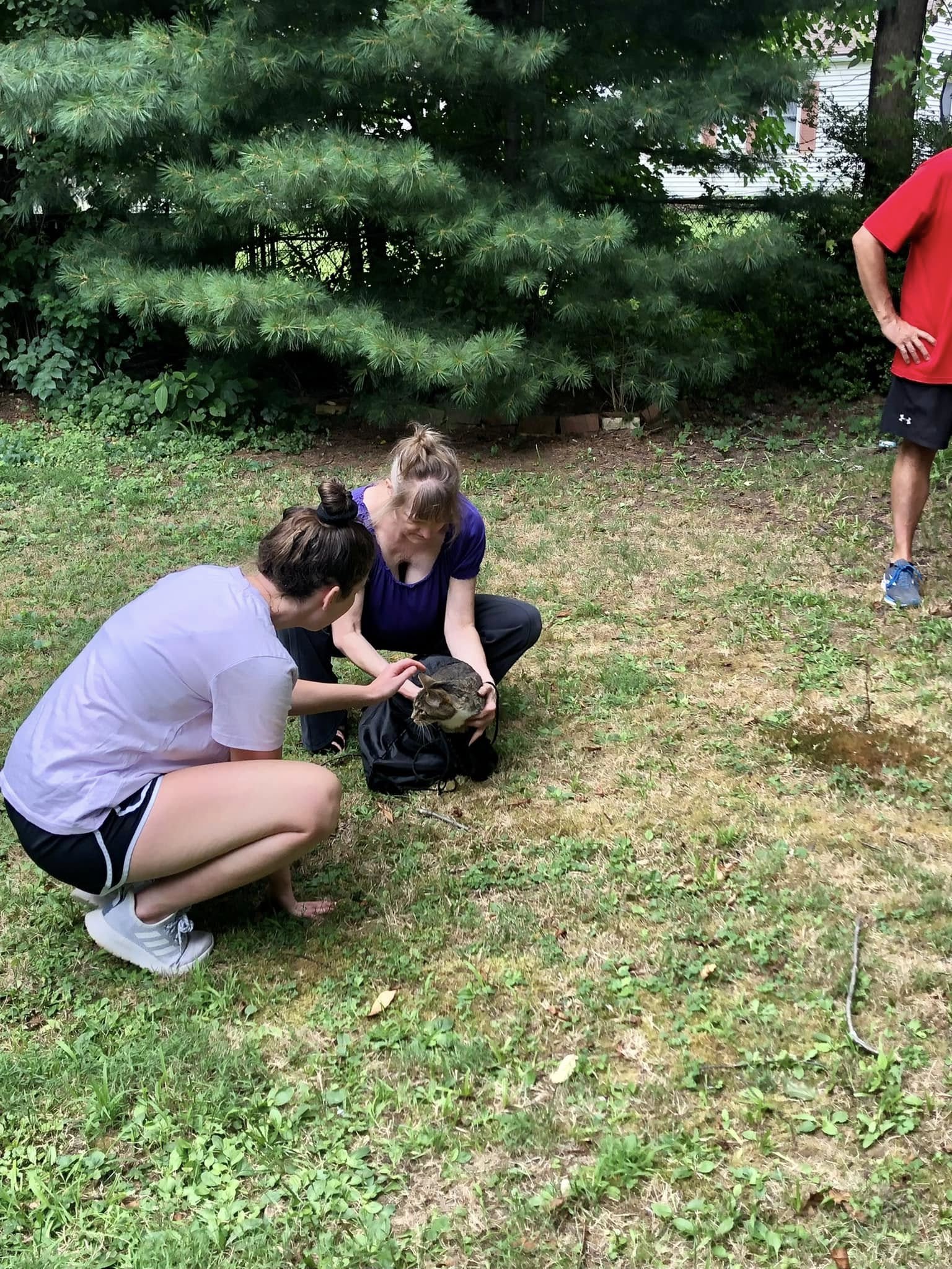 Happy Trees Tree Services LLC