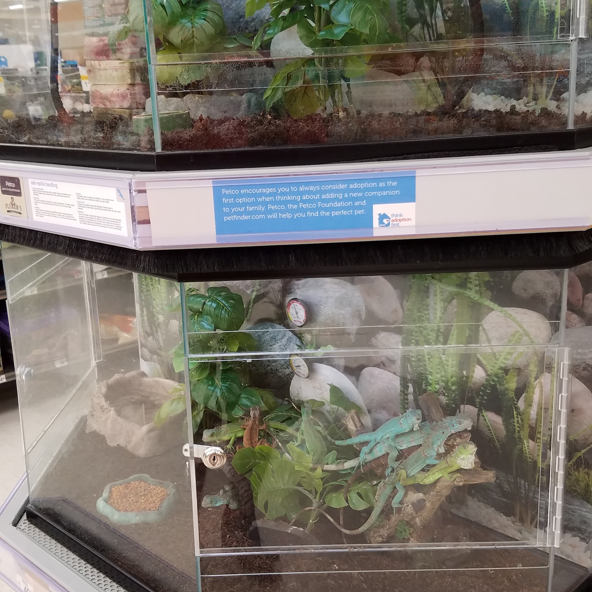 Petco Heath