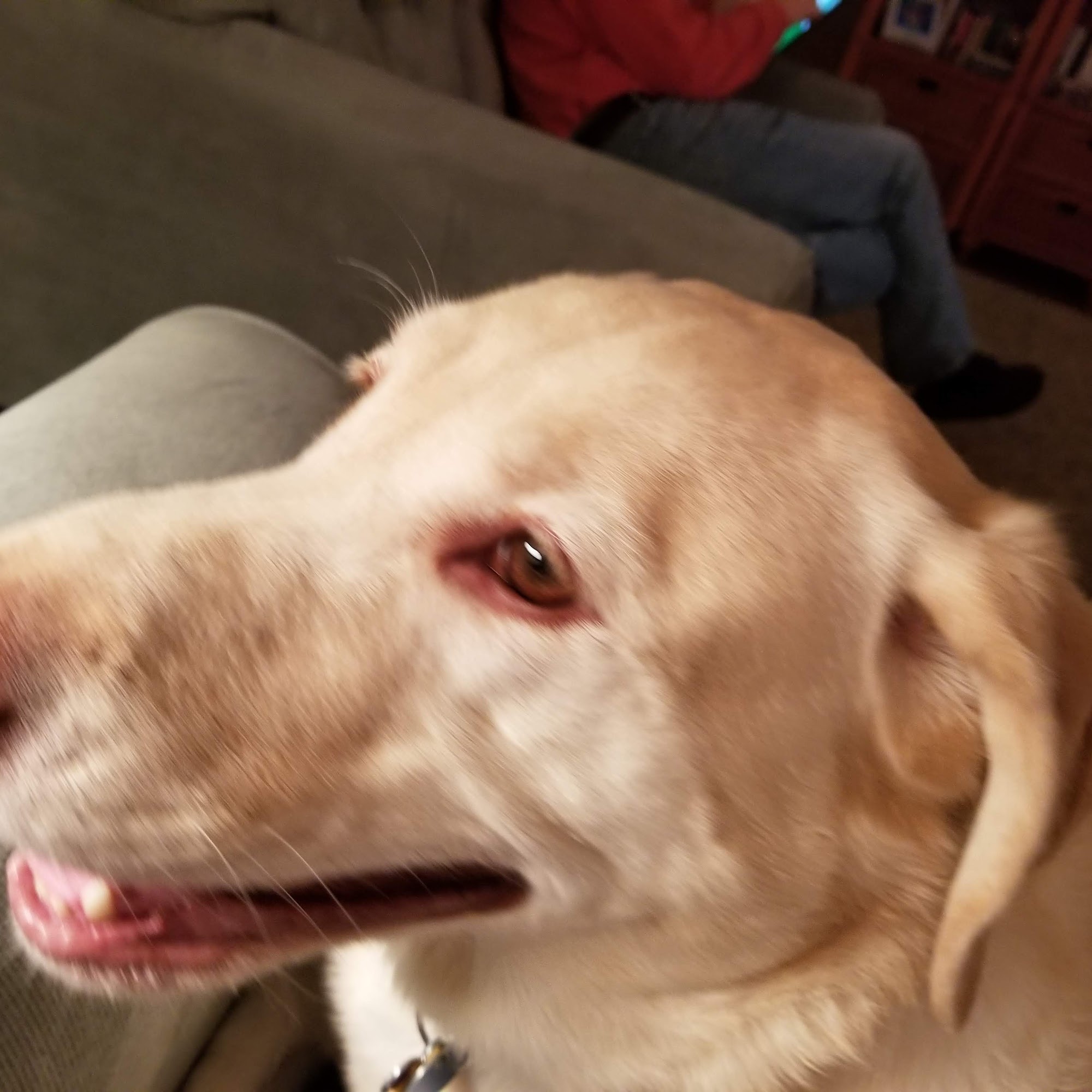 Buck Gardens Animal Hospital Hilliard