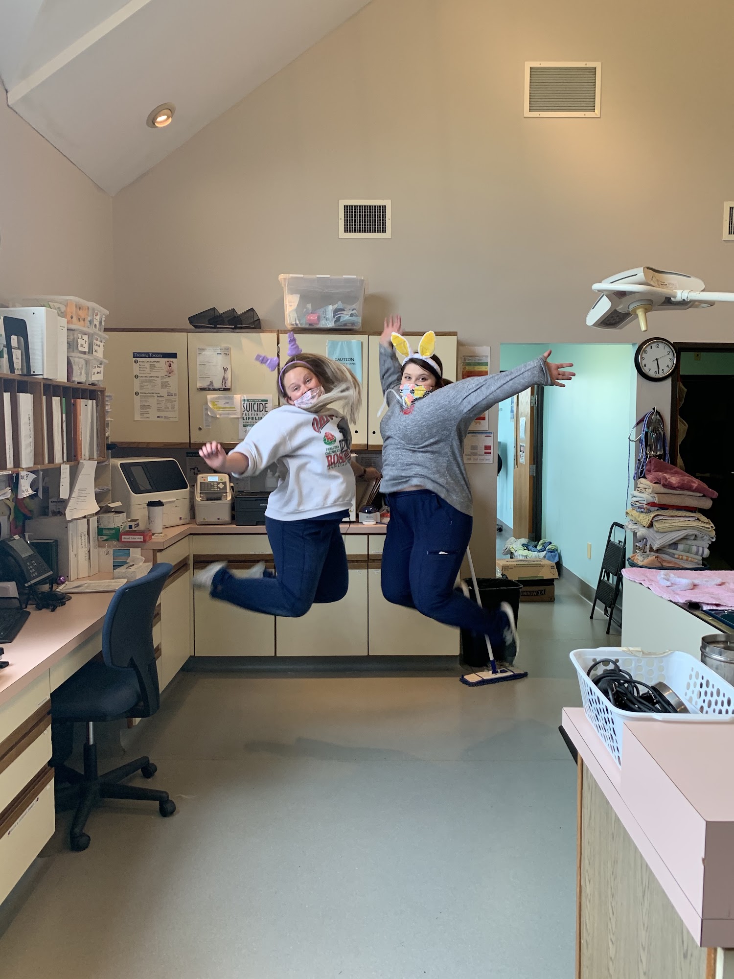 Healthy Pets of Rome Hilliard Hilliard