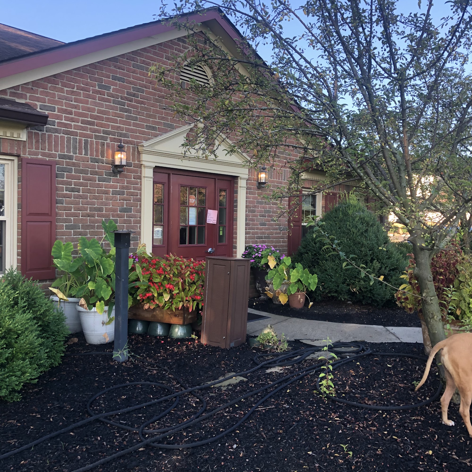 East Hilliard Veterinary Services: Klein Thomas DVM Hilliard