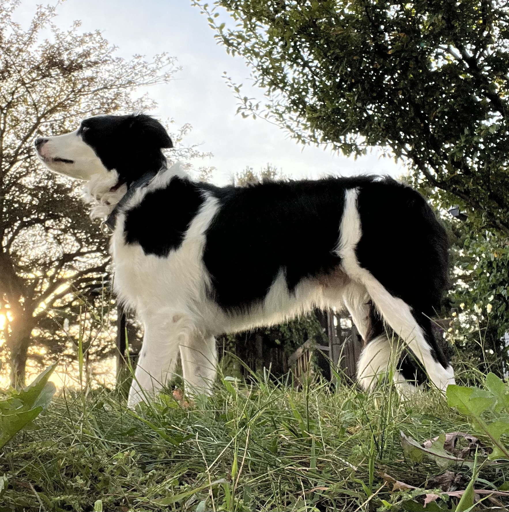 Four Seasons Boarding, Grooming and Training Hillsboro