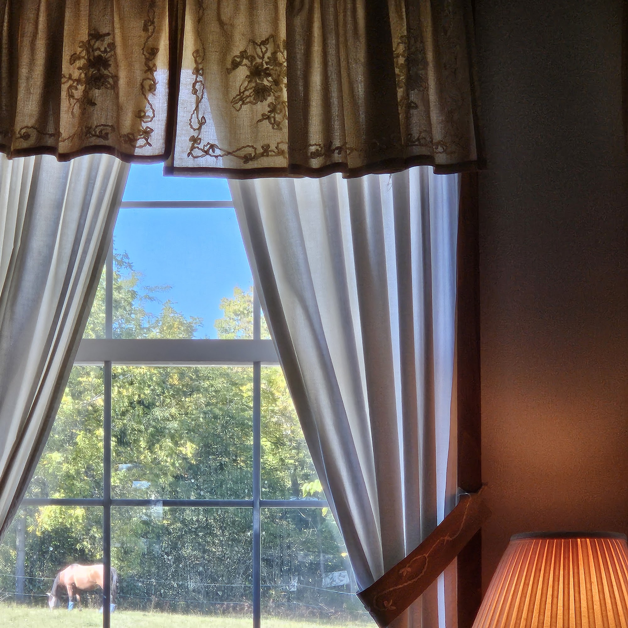 Fall Creek Equine Clinic Inc Hillsboro