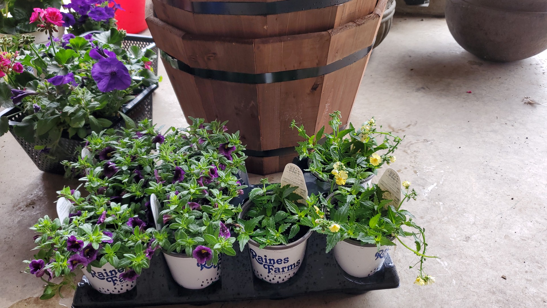 Master Feed Mill-Hillsboro Hillsboro