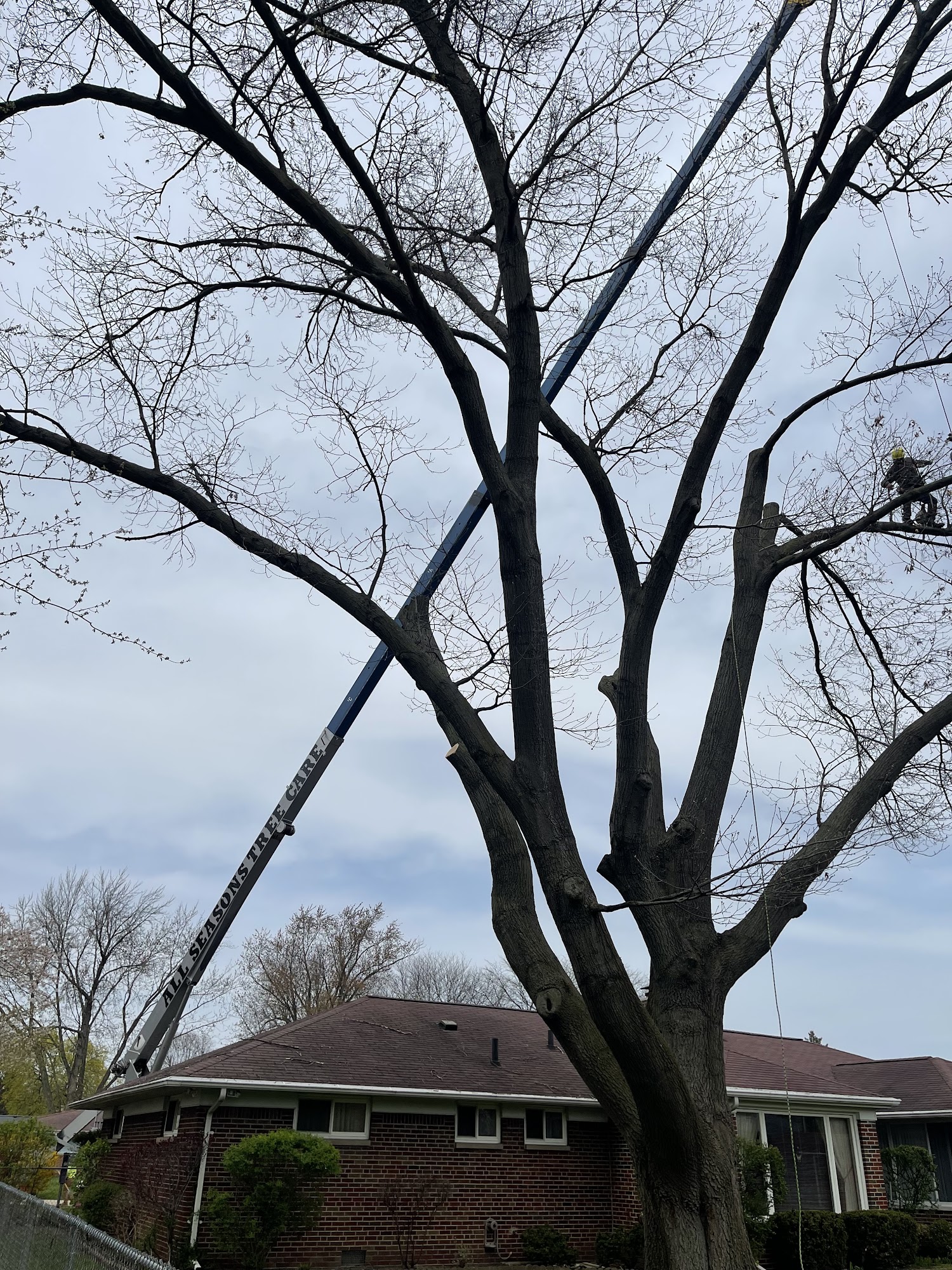 Aaron Tree & Lawn