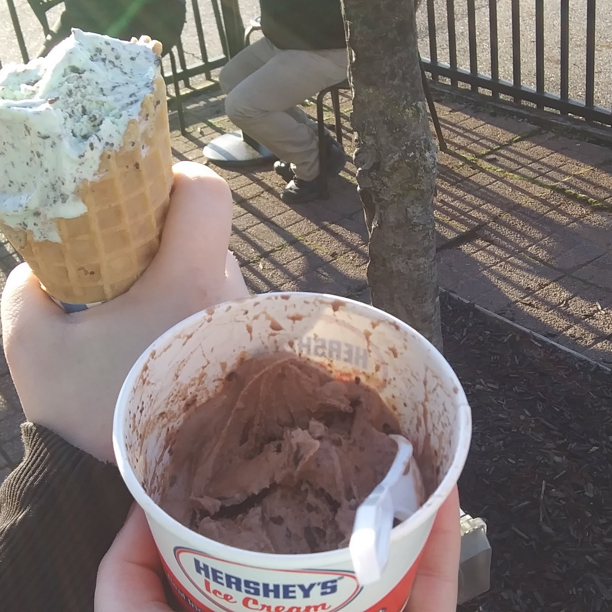 Hershey's of Hudson Ice Cream Hudson
