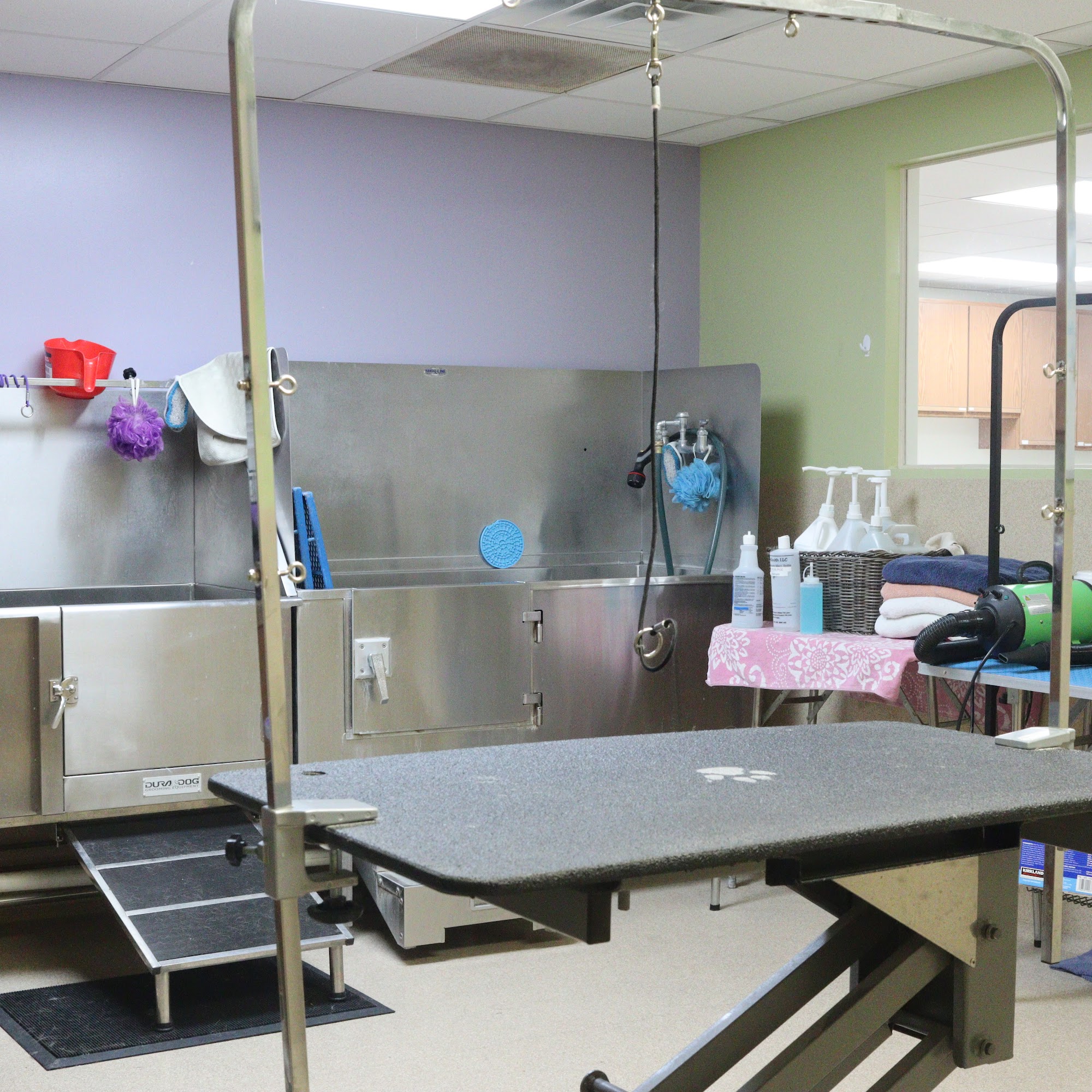 Bed & Bark Boarding and Daycare Hudson