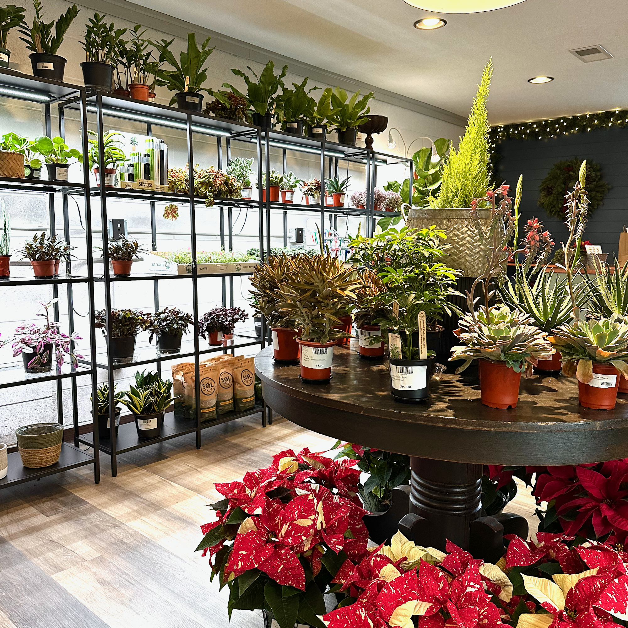 Leaf and Vessel Hudson