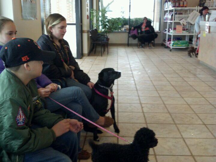 Kettering Animal Hospital Kettering