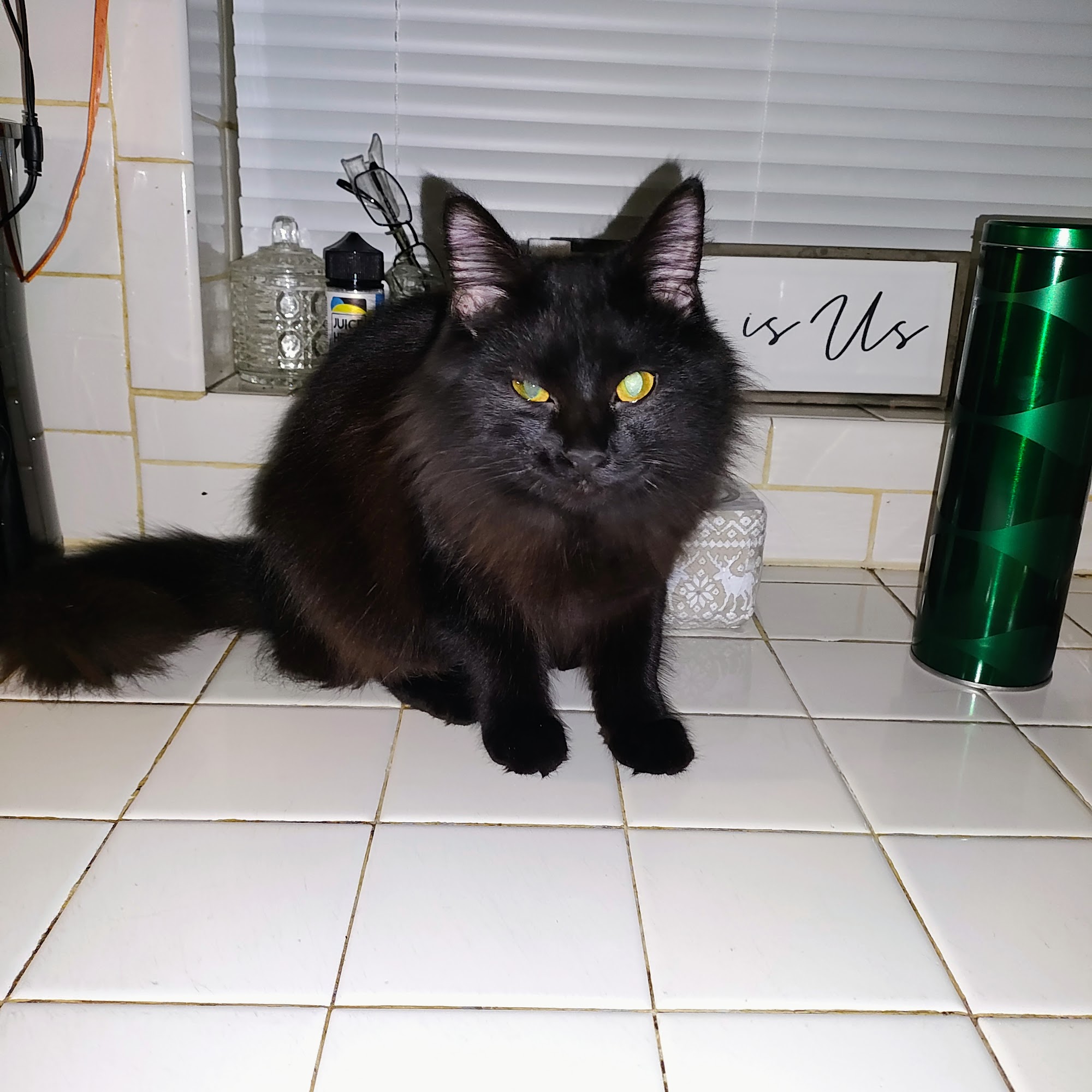 Miami Valley Animal Hospital Kettering