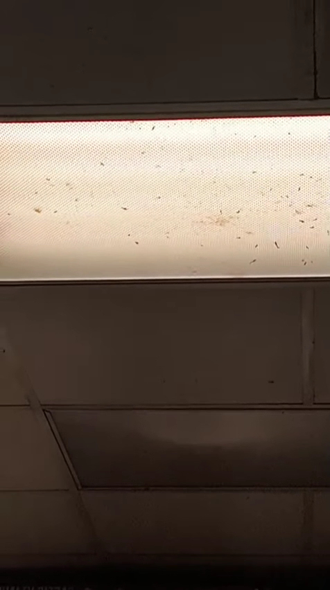 Papa Johns Pizza Menu