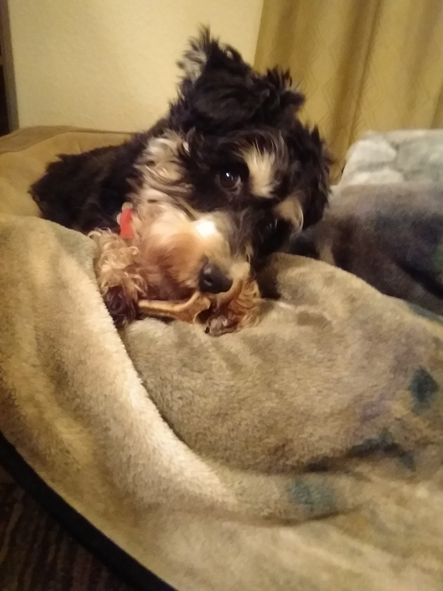 Just A Cut Above The Rest Lancaster