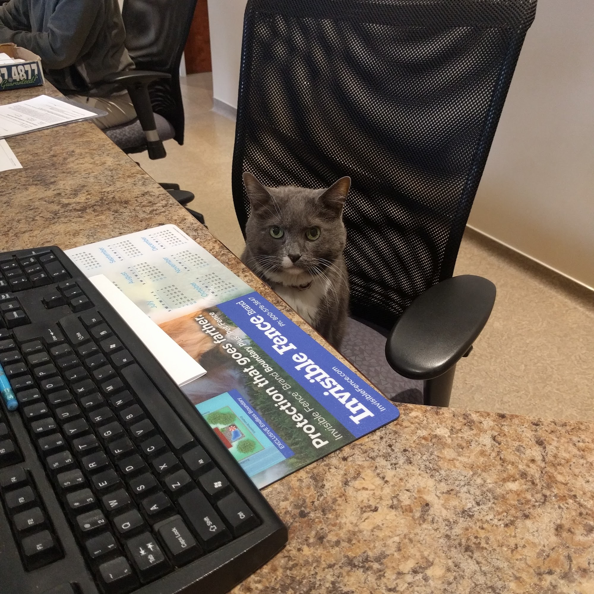 Lebanon Small Animal Clinic Lebanon