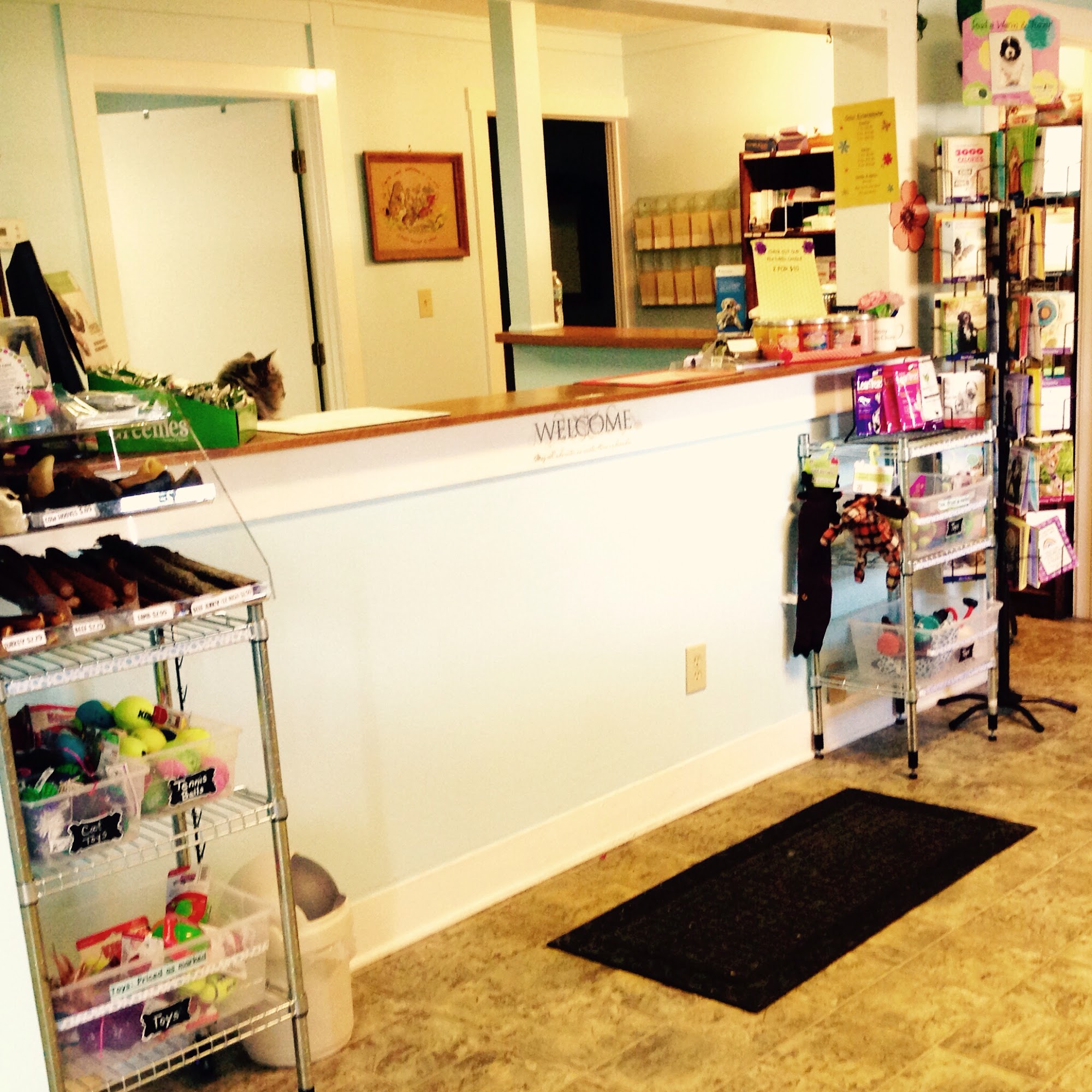 Countryside Animal Hospital Lebanon