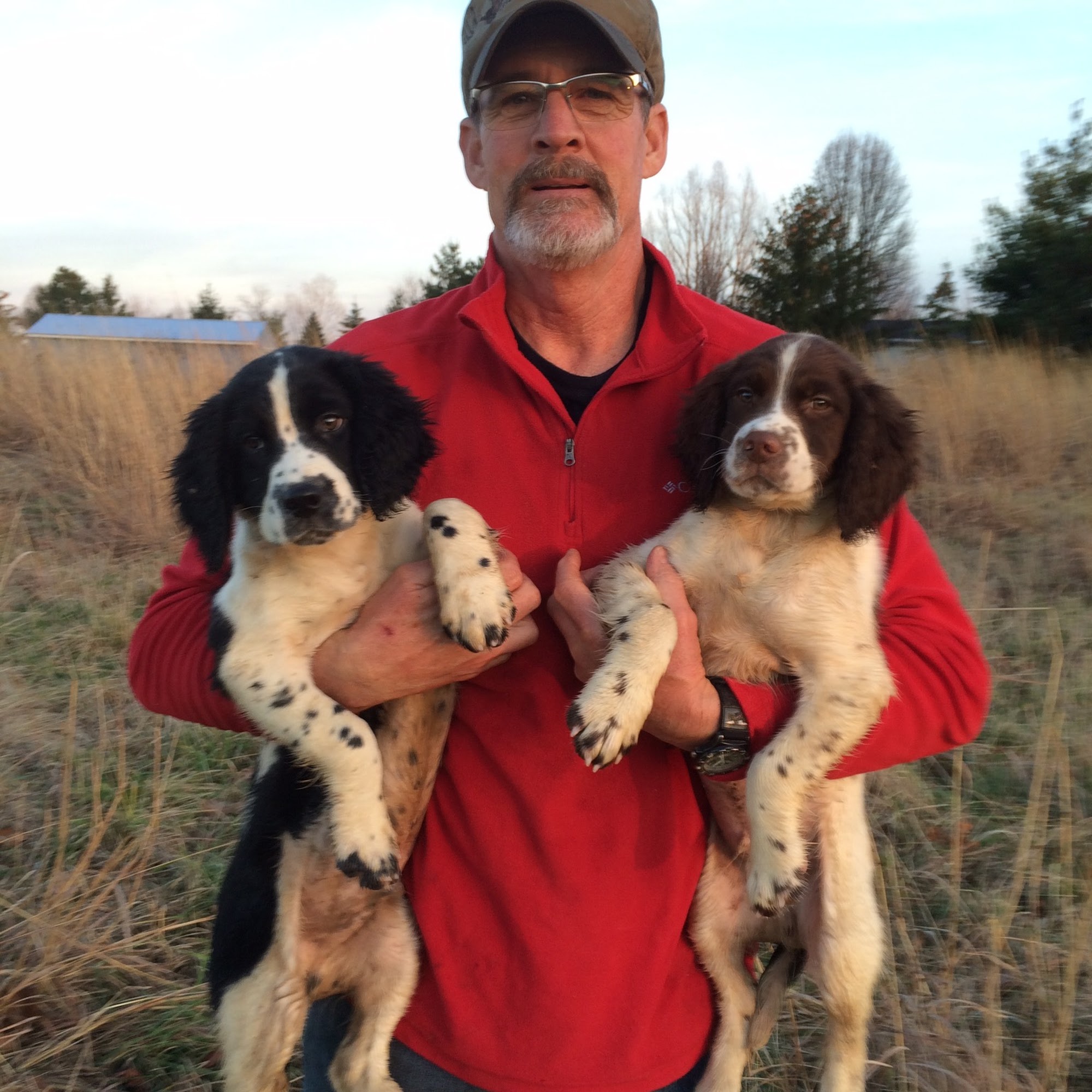 Ivanhoe Country Kennels Lebanon