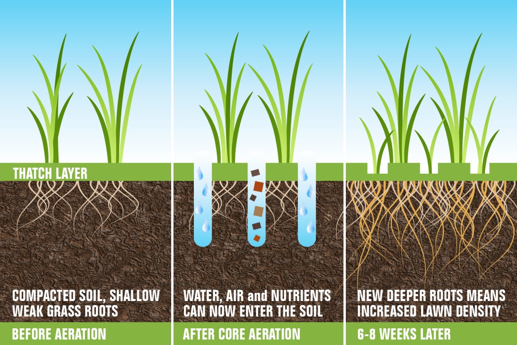 Affordable Lawn Care Pro