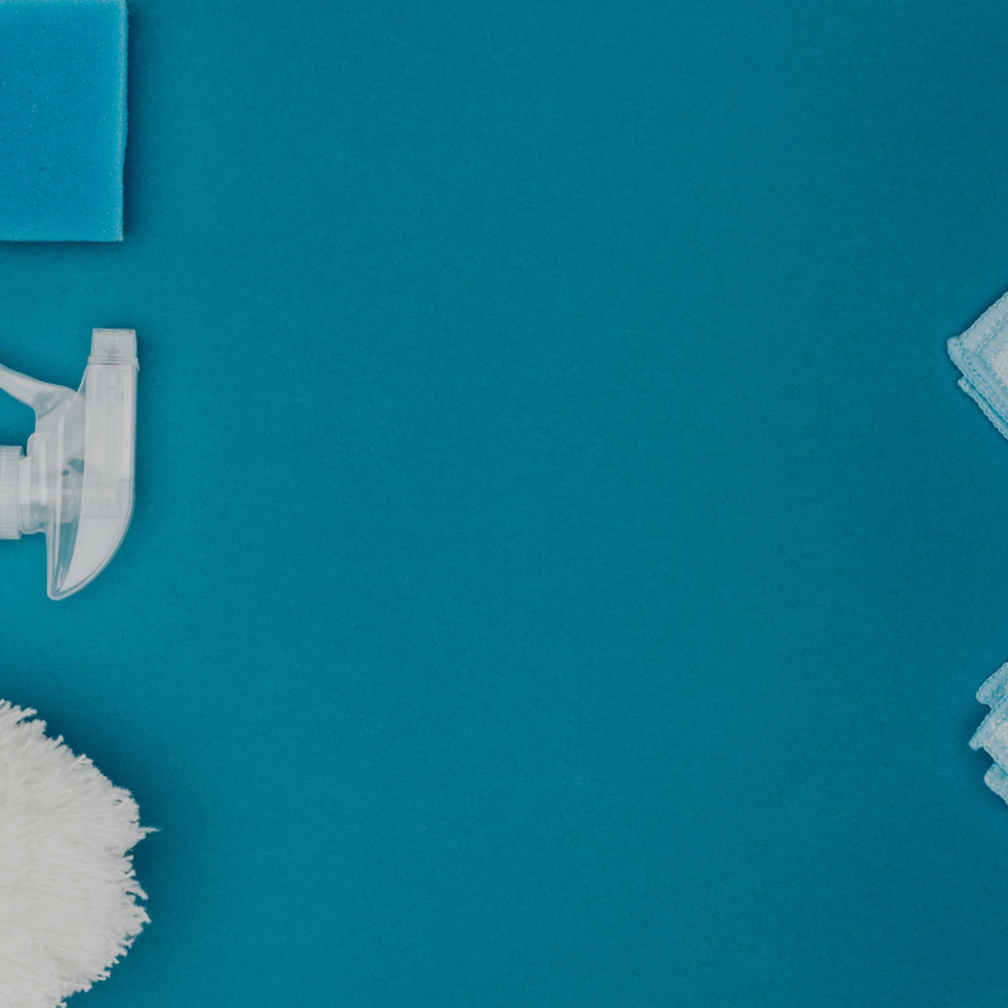 Lynn's Passionate All Cleaning Services