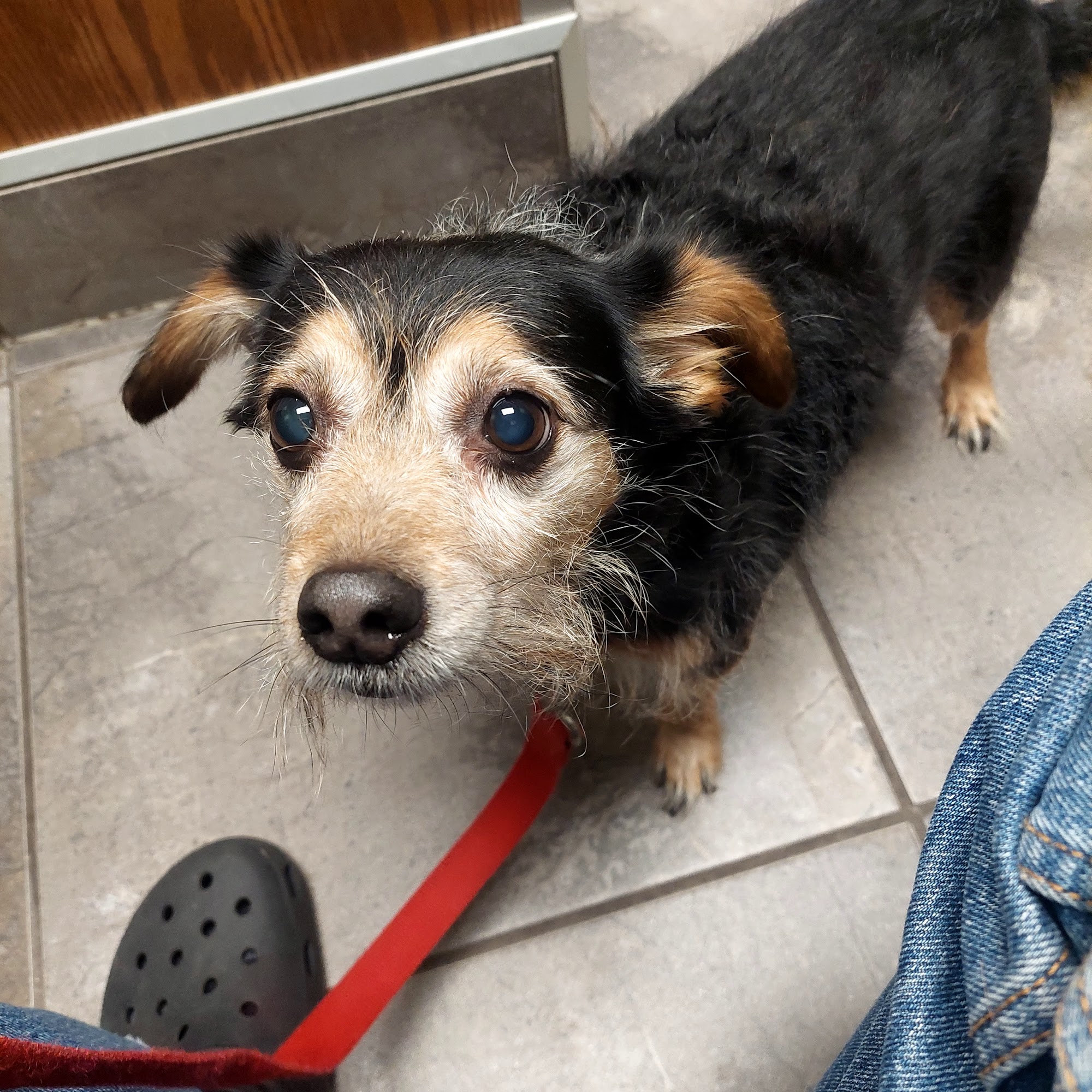 Lisbon Veterinary Clinic Inc Lisbon