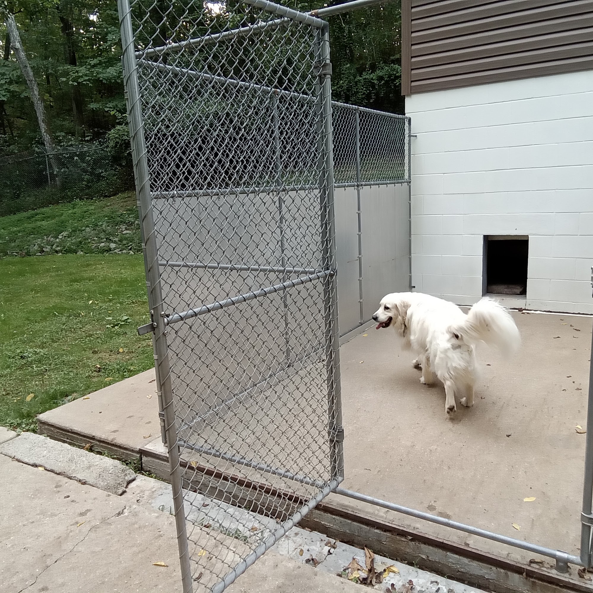 Devoted Care Pet Sitting Services 1368 Cave Hill Rd, Little Hocking Ohio 45742