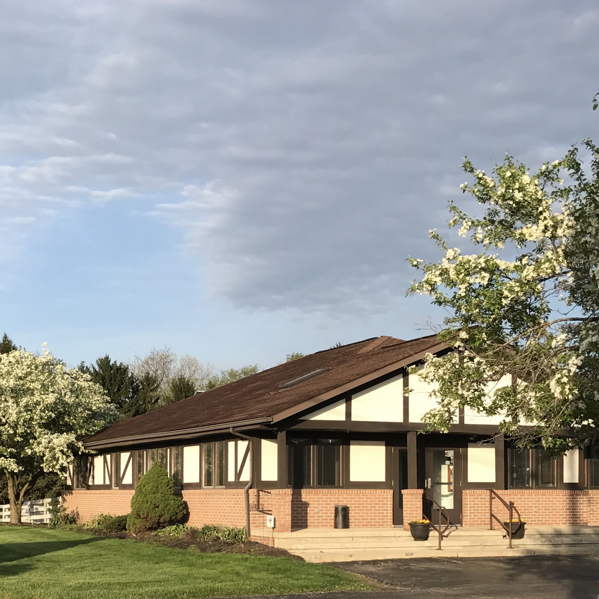 Sheffield Veterinary Hospital London