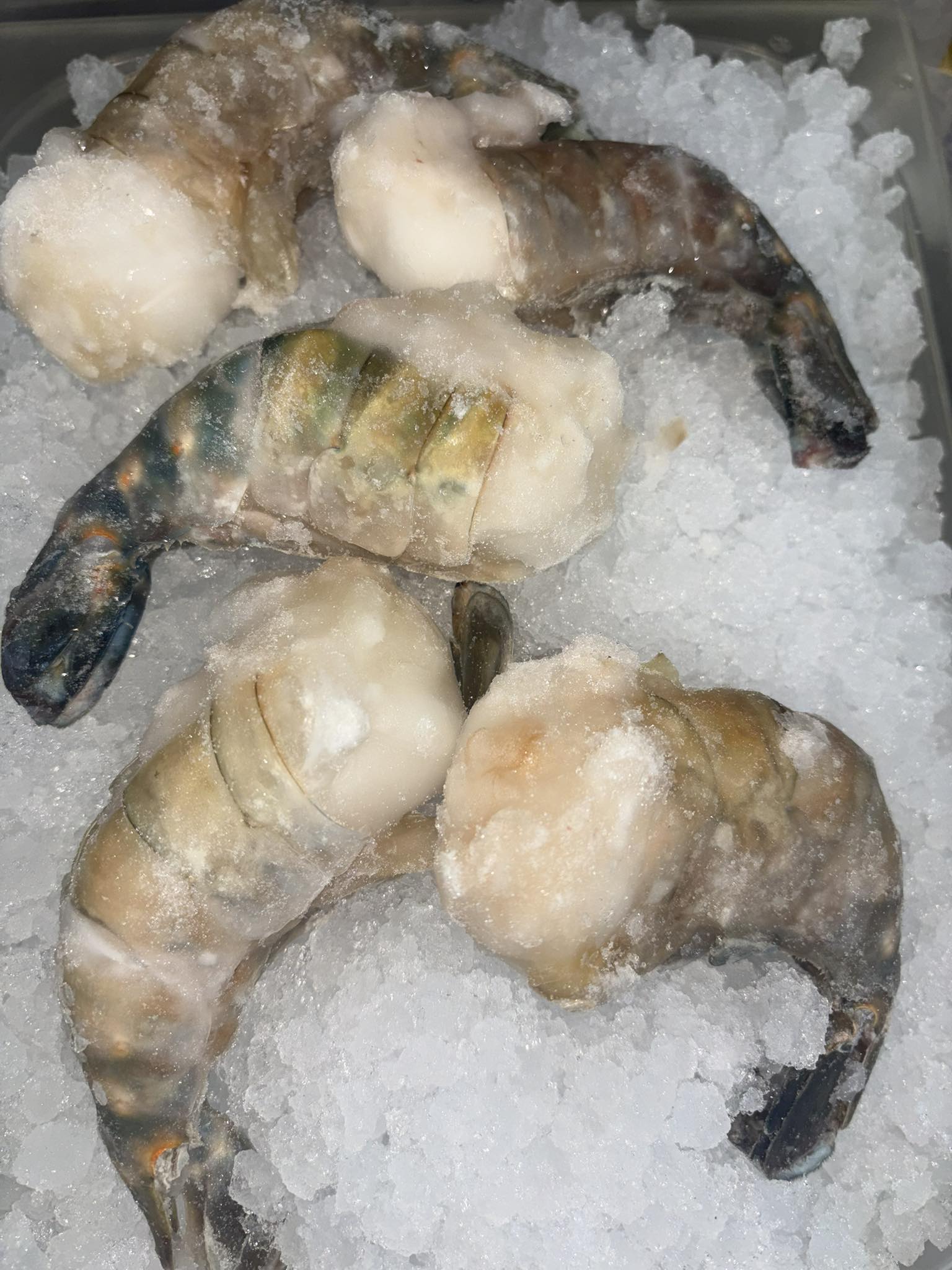 Ardick Seafood Inc Lorain