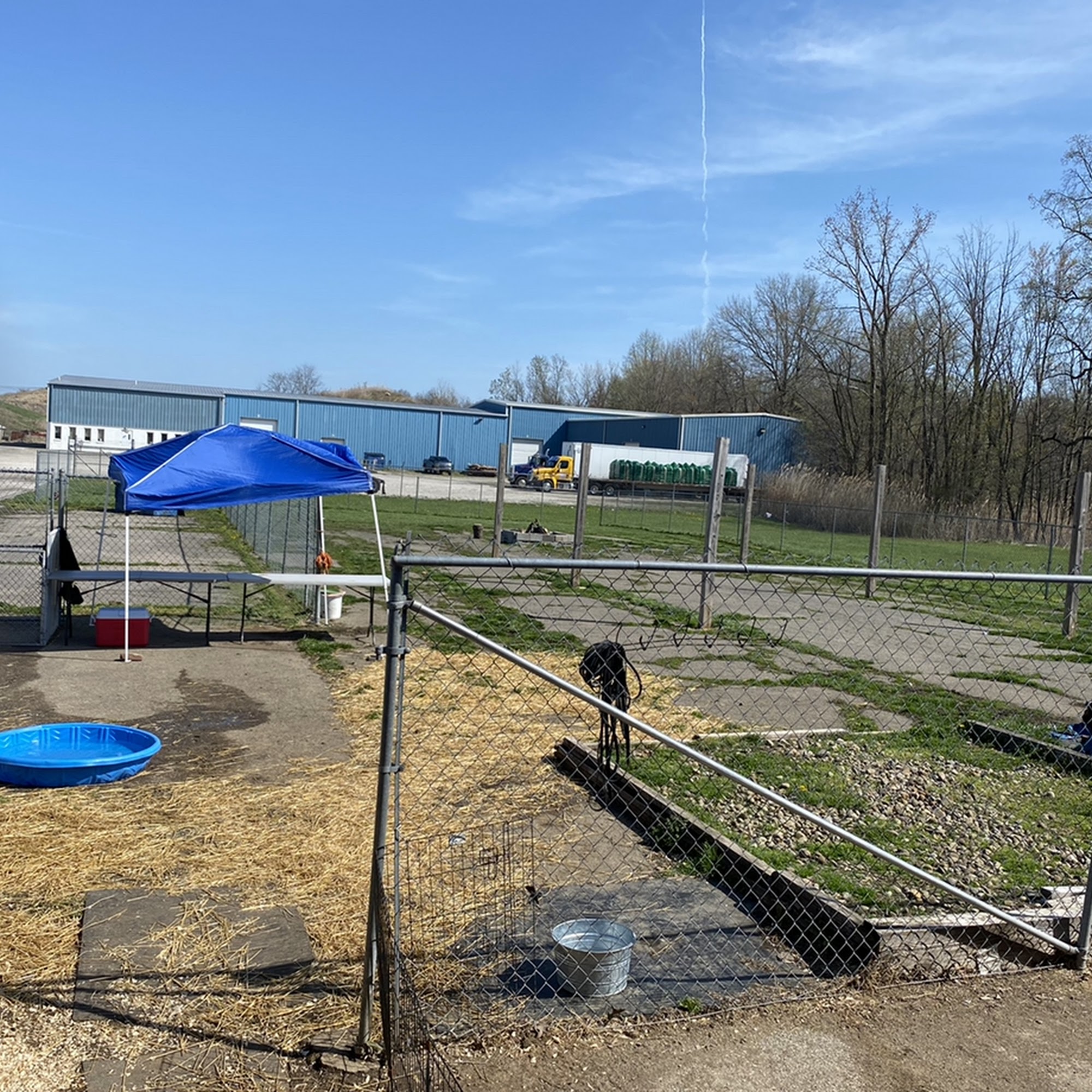 ROGERS K-9 SERVICES Lorain