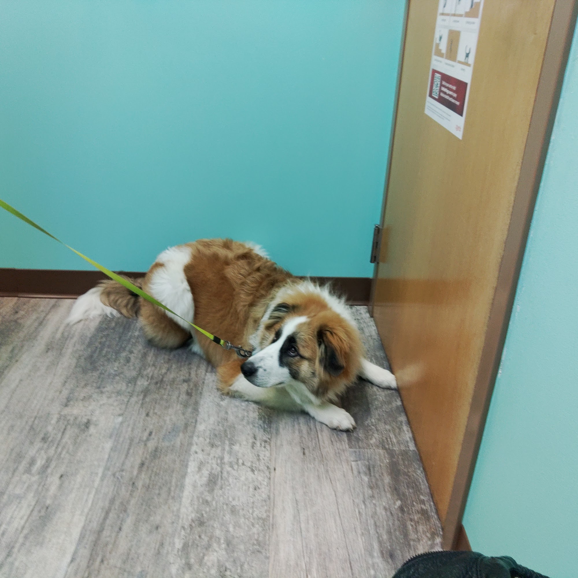 West Main Veterinary Clinic Louisville