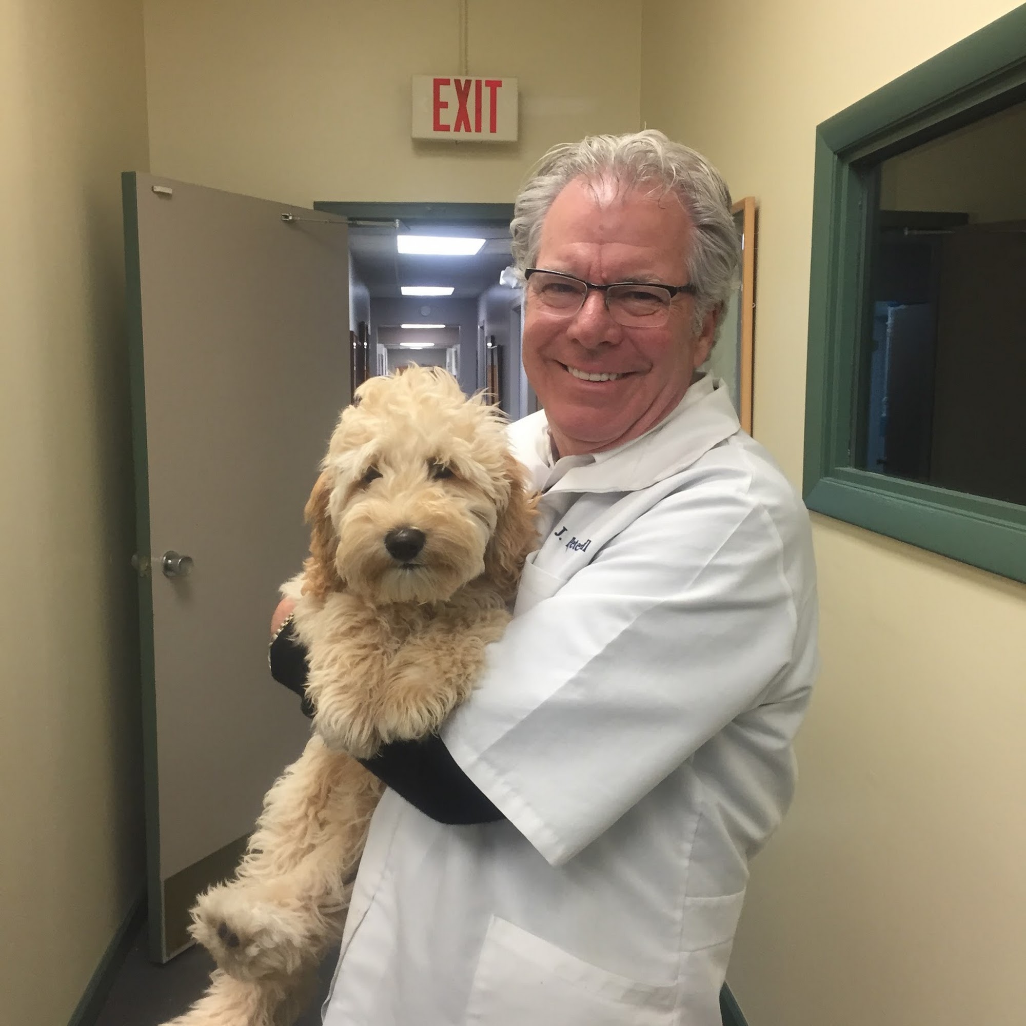 PetCare Animal Hospital Loveland