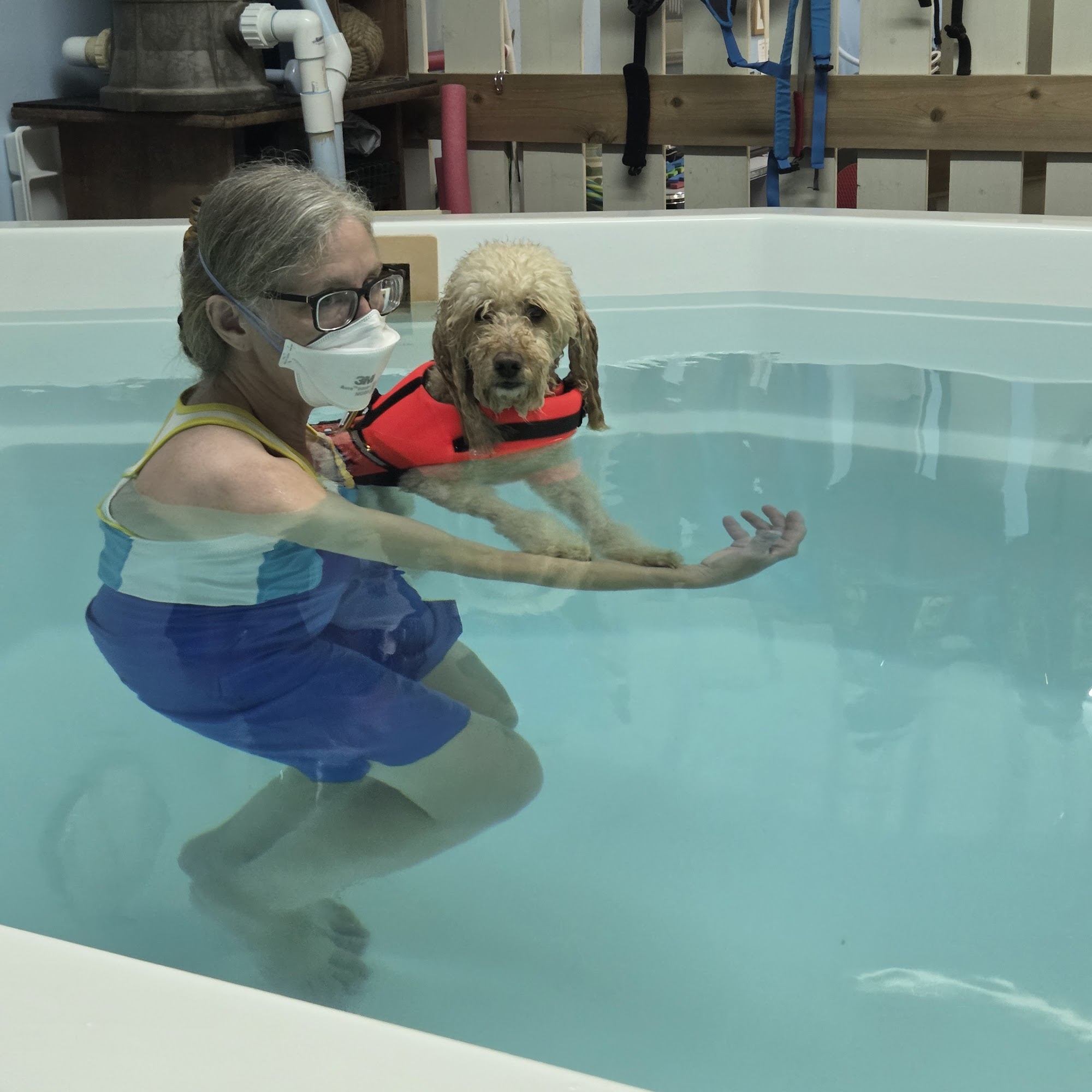 Here Buoy! Dog Swim Spa Loveland