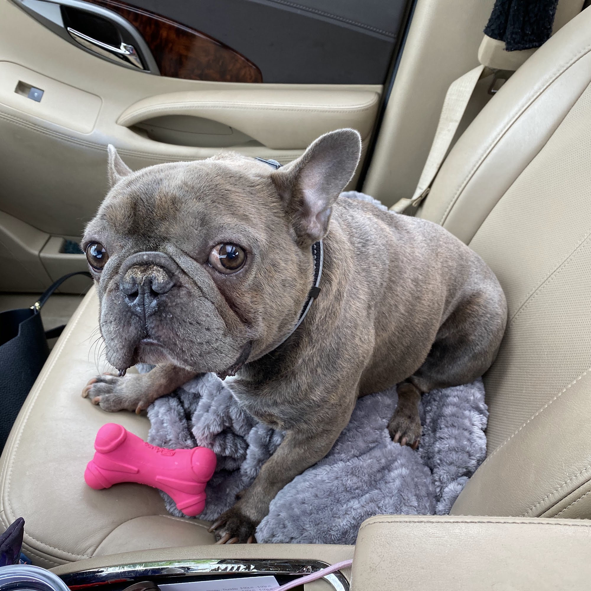 Fayette Veterinary Hospital Lynchburg