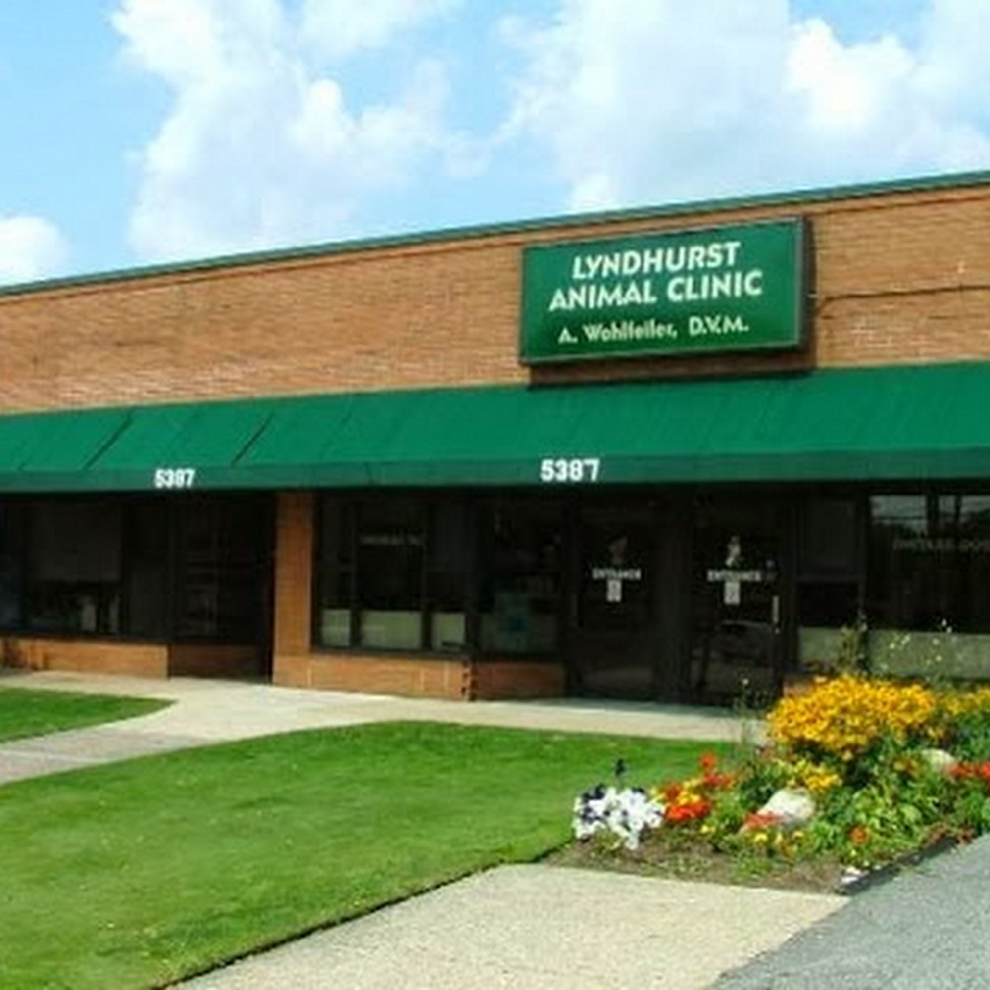 Lyndhurst Animal Clinic, A Thrive Pet Healthcare Partner Lyndhurst