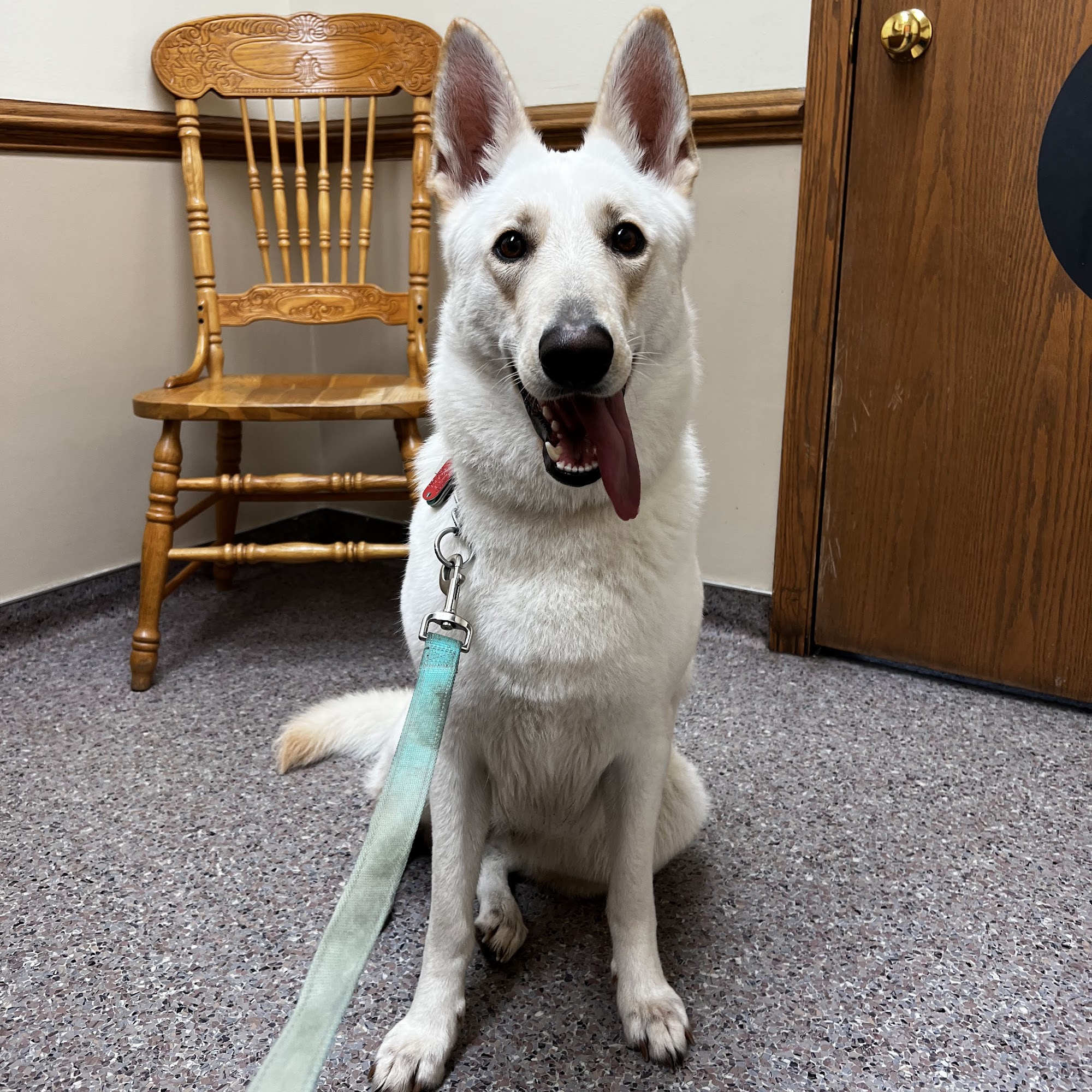 Macedonia Veterinary Clinic Macedonia