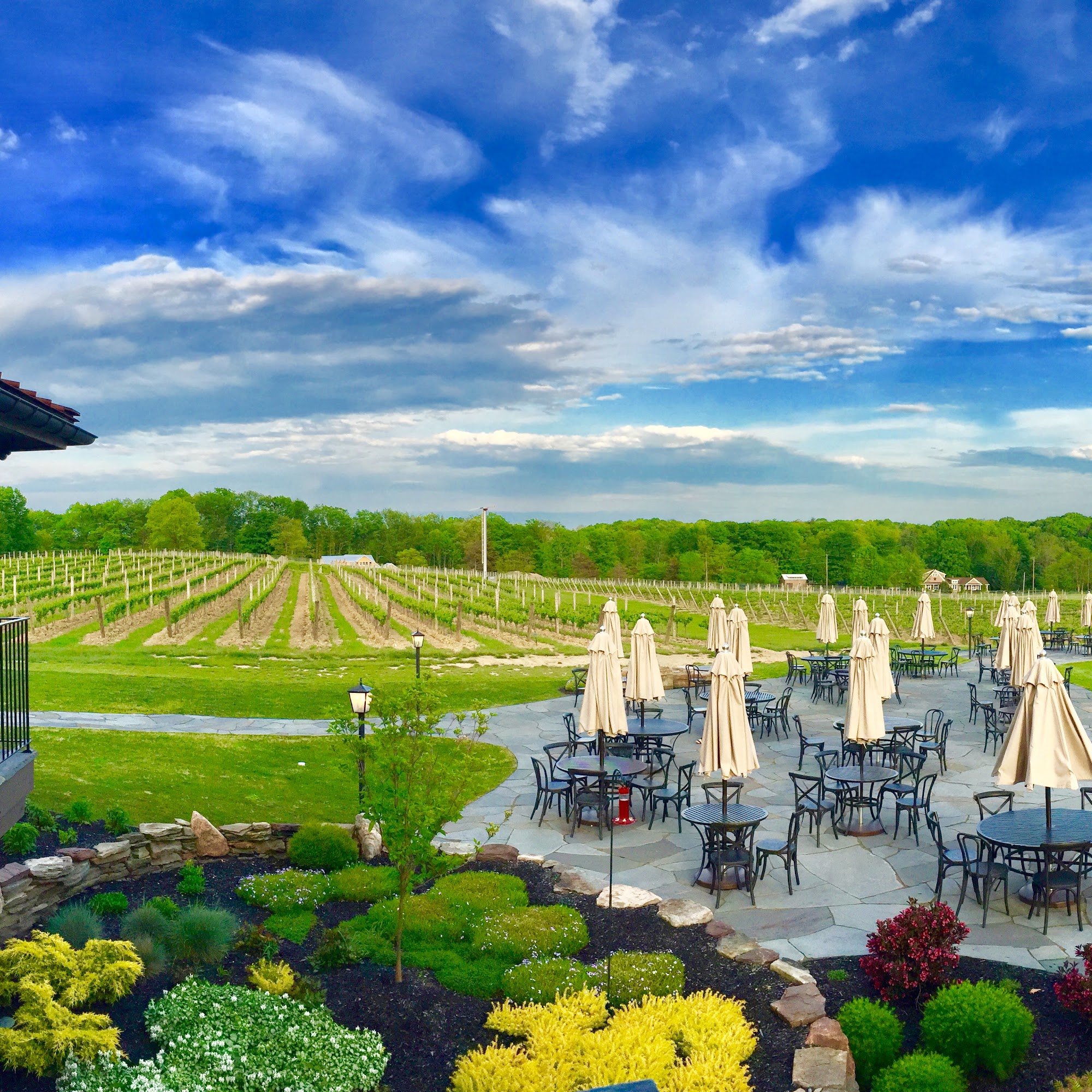 Laurentia Vineyard & Winery Madison