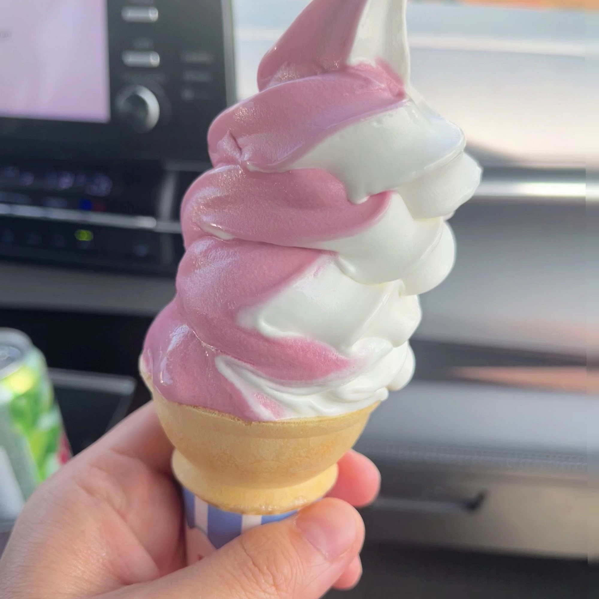 Whipty-Do! Maineville