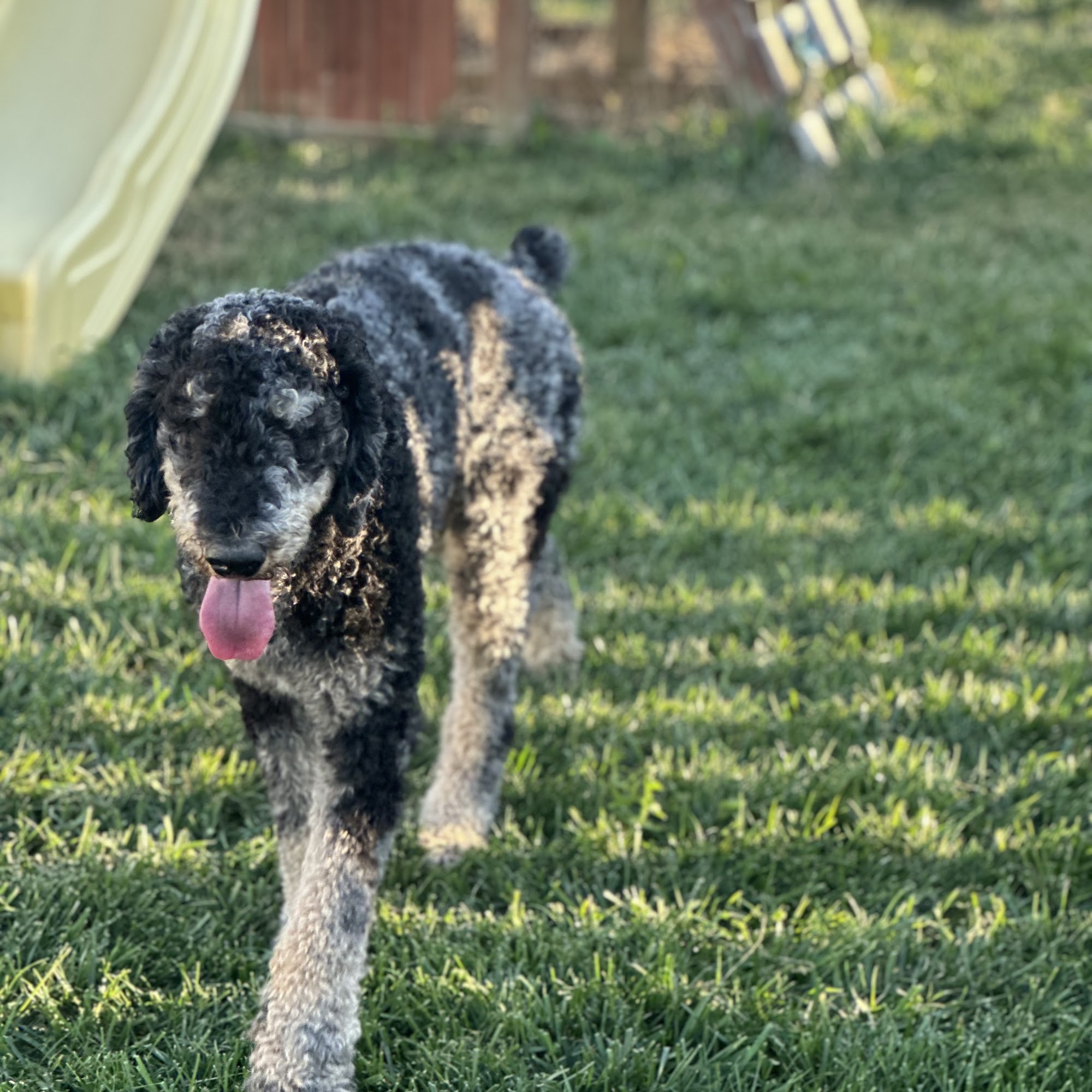 Salt Run Veterinary Clinic Maineville