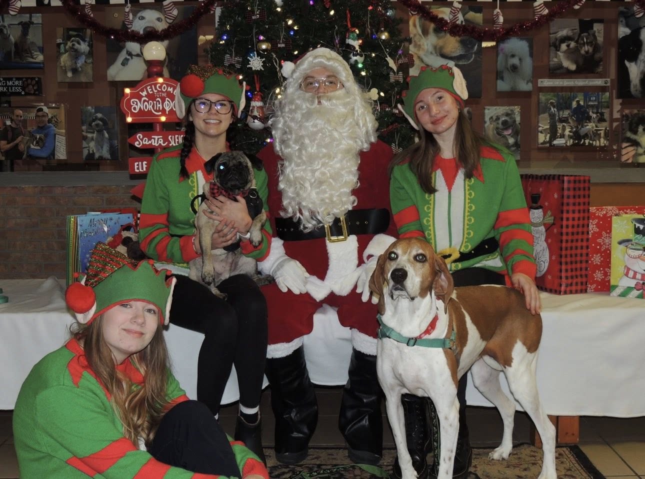 Four Paws Pet Care and Kennel Maineville