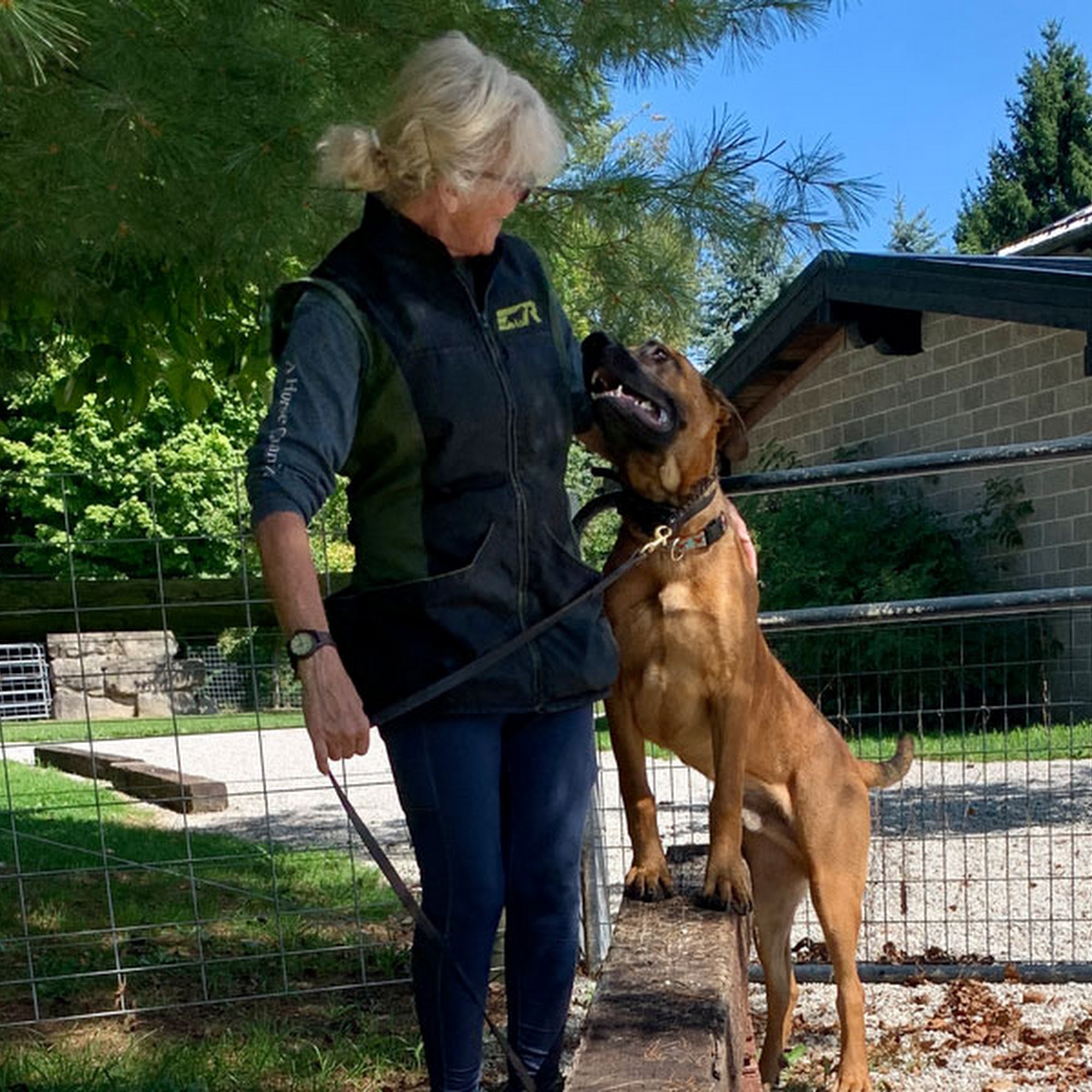 Fieldstone K9 Academy Mantua