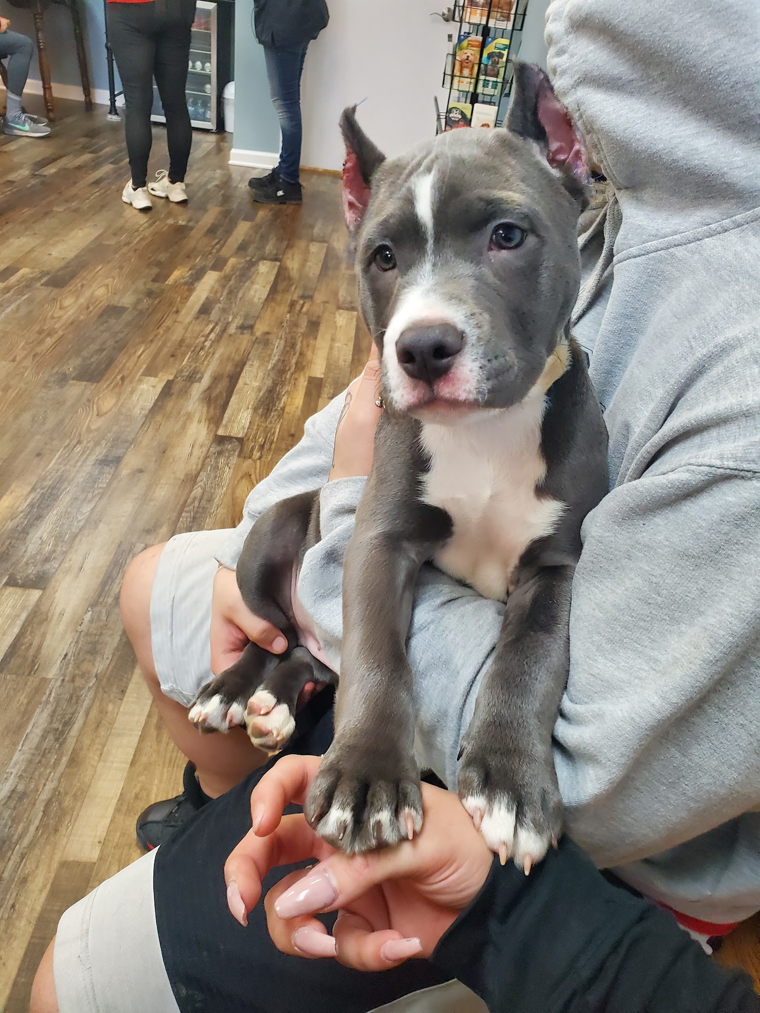 Suburban Veterinary Clinic Maple Heights