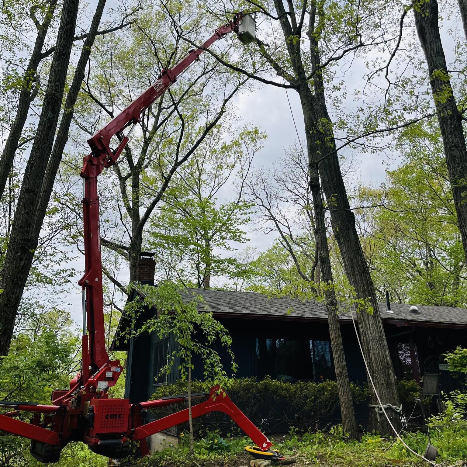 Photo credit: nextdoor