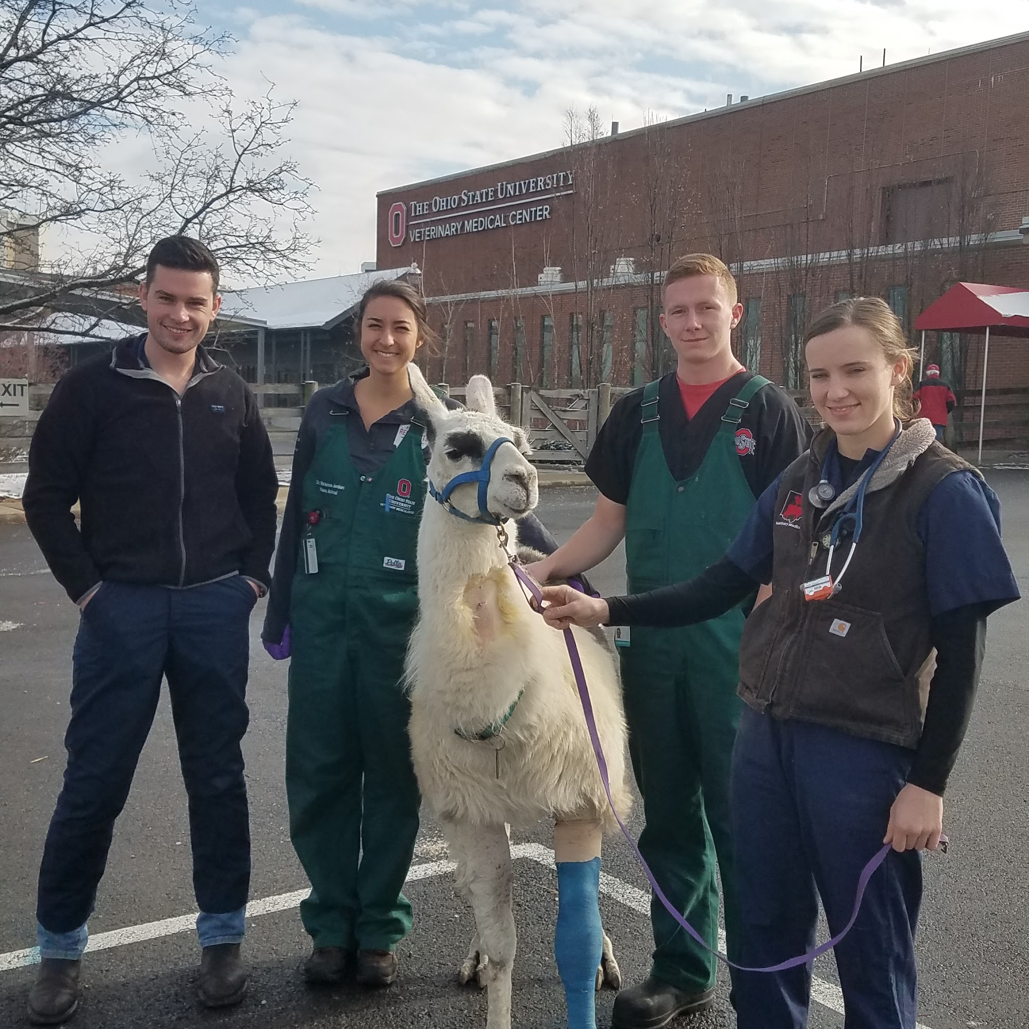 Ohio State University Large Animal Services Marysville