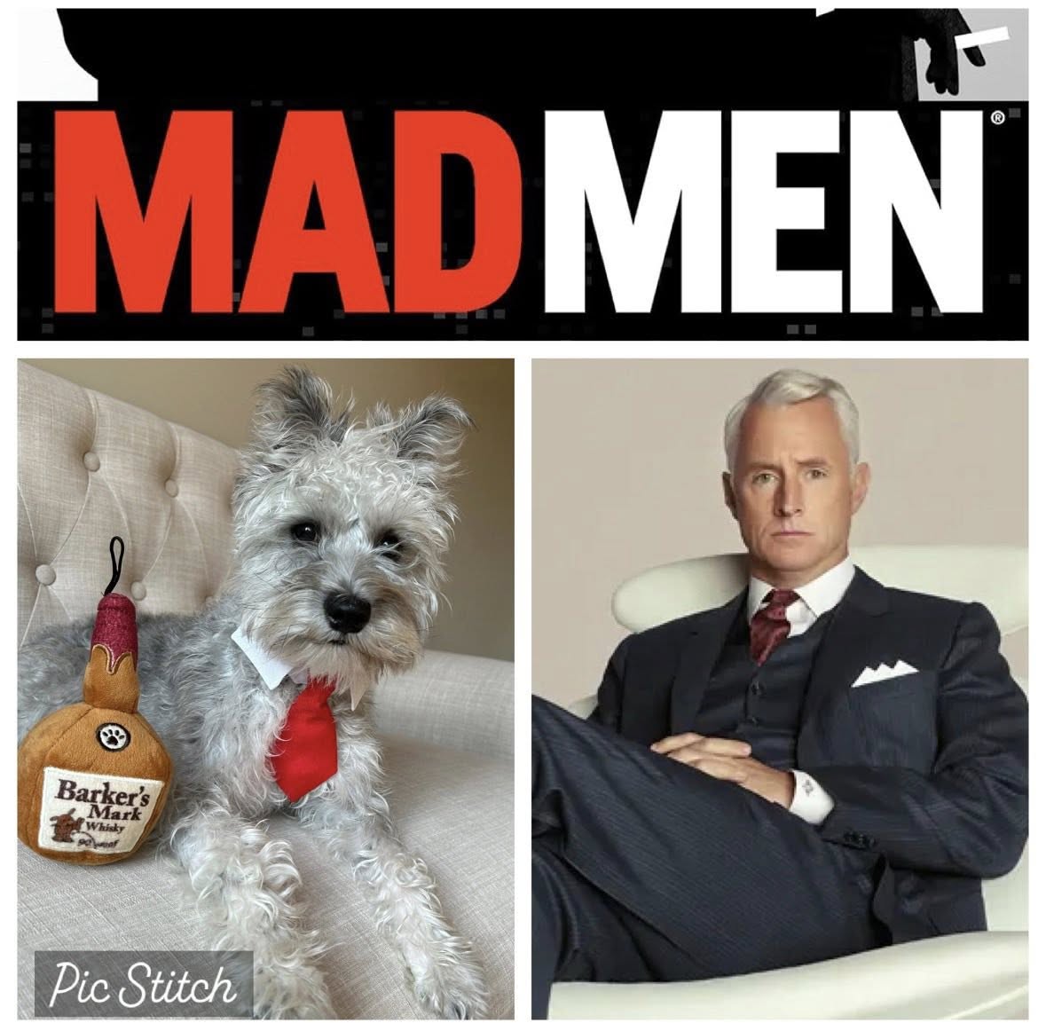 My Pet's Vet Mason Mason